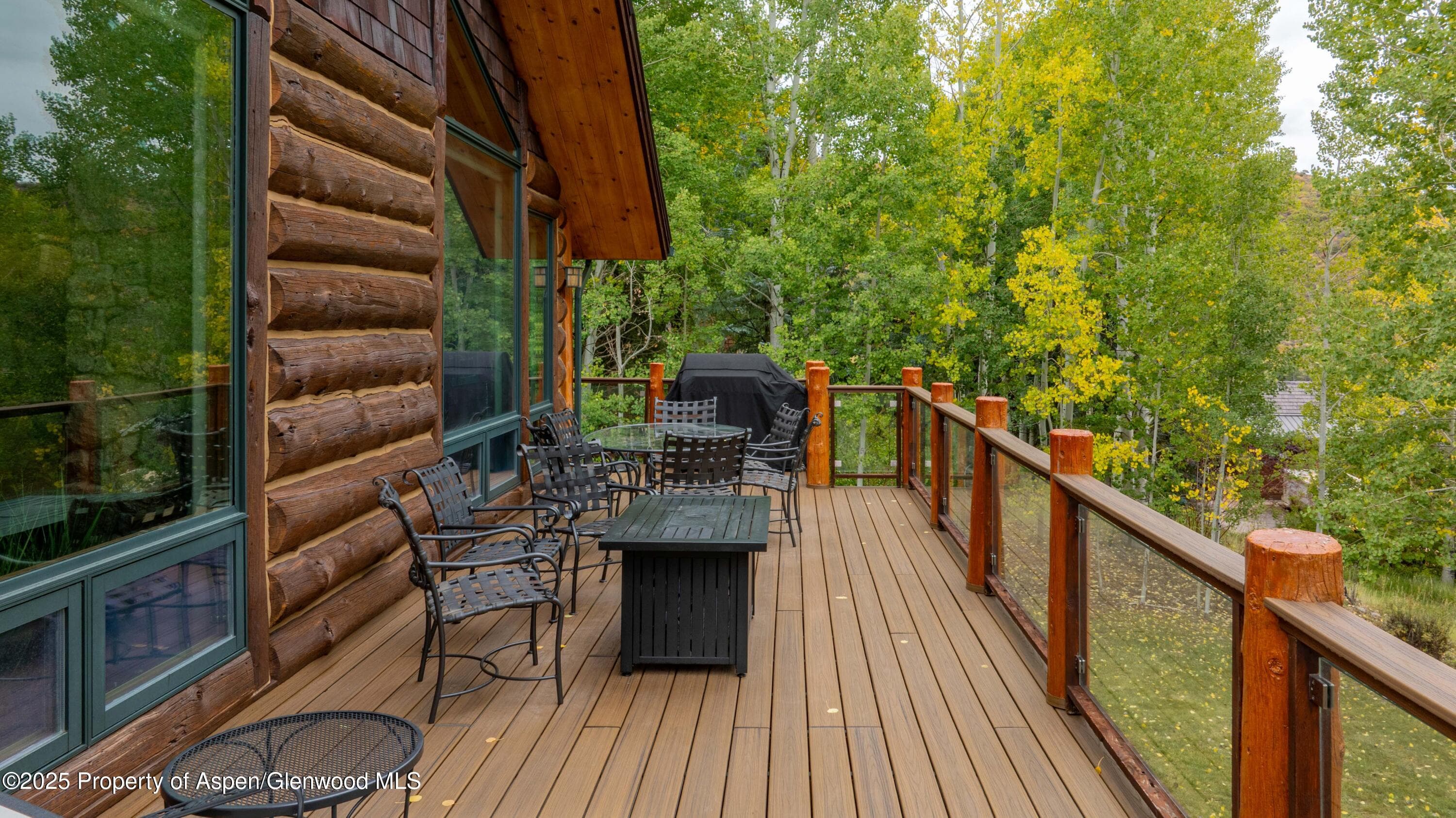 57 Saddleback Lane, Snowmass Village, CO 81615 - Photo 86