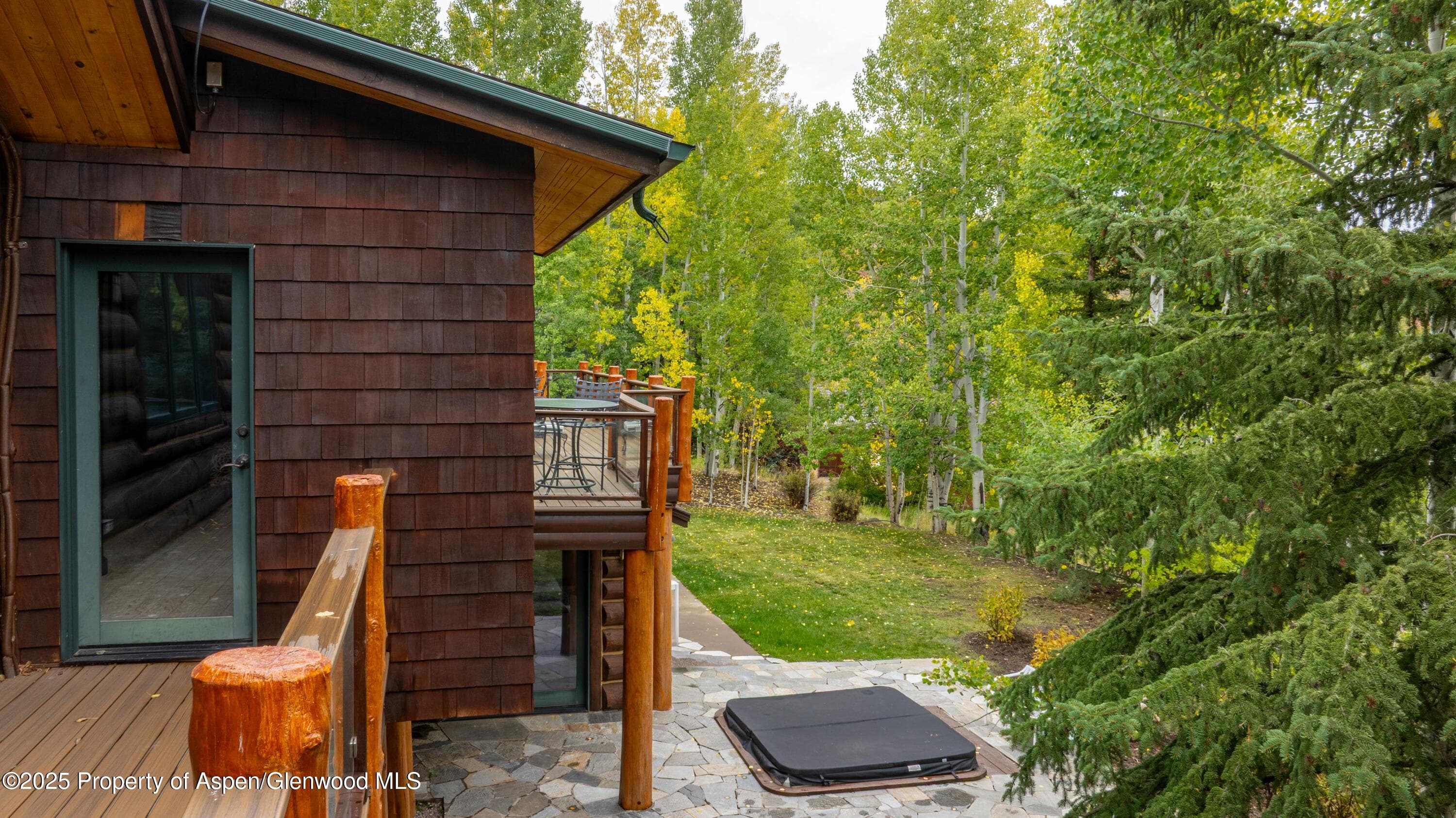 57 Saddleback Lane, Snowmass Village, CO 81615 - Photo 87