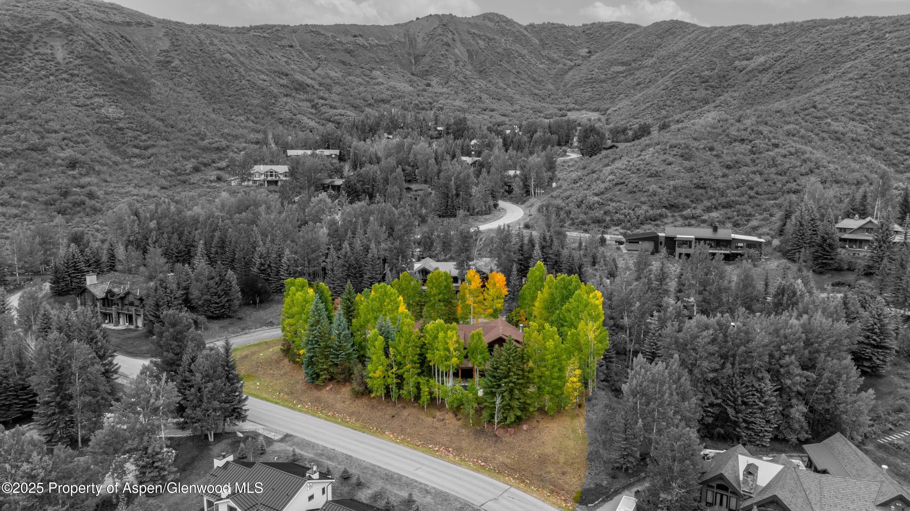 57 Saddleback Lane, Snowmass Village, CO 81615 - Photo 4