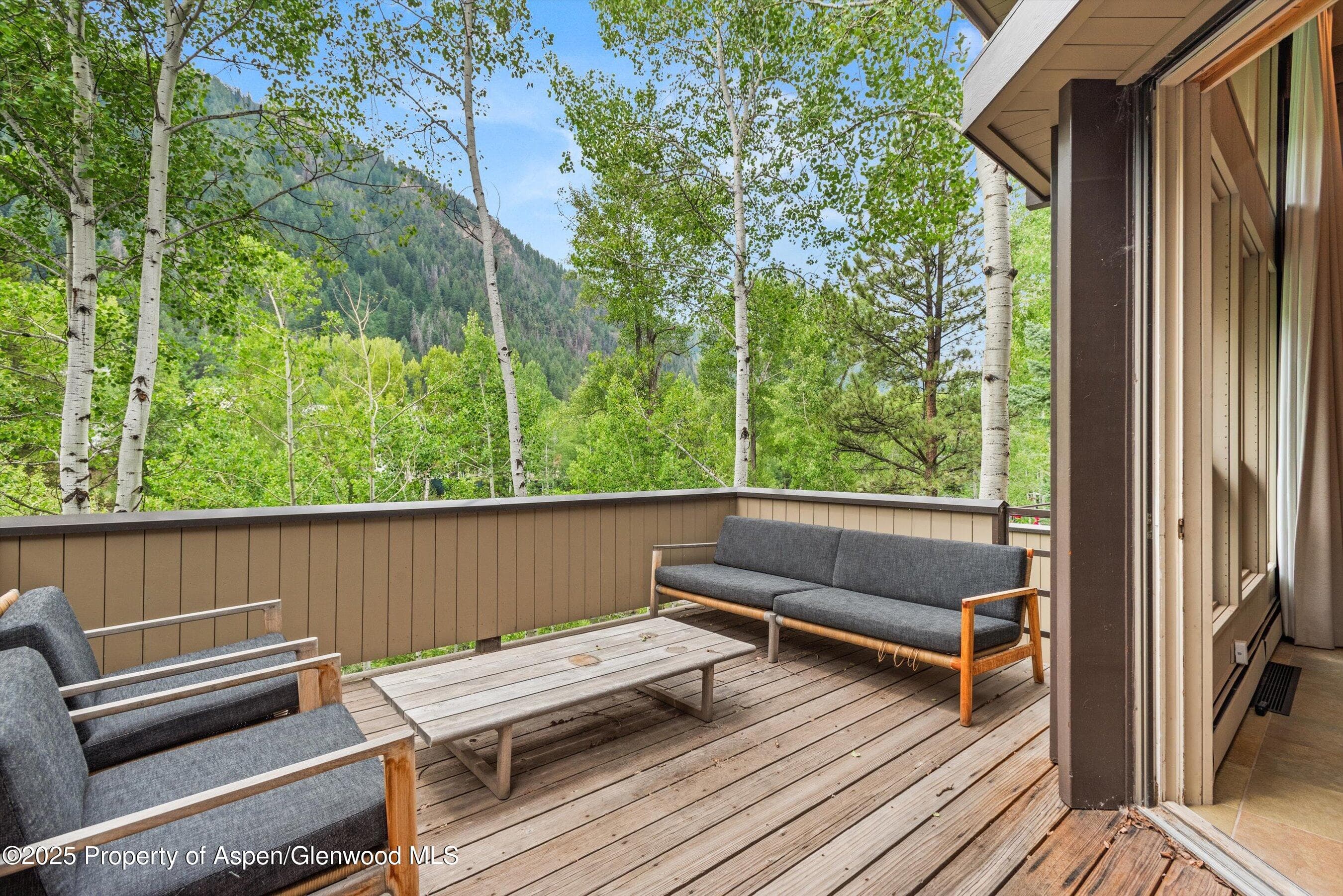 1429 Crystal Lake Road, Aspen, CO 81611 - Photo 5