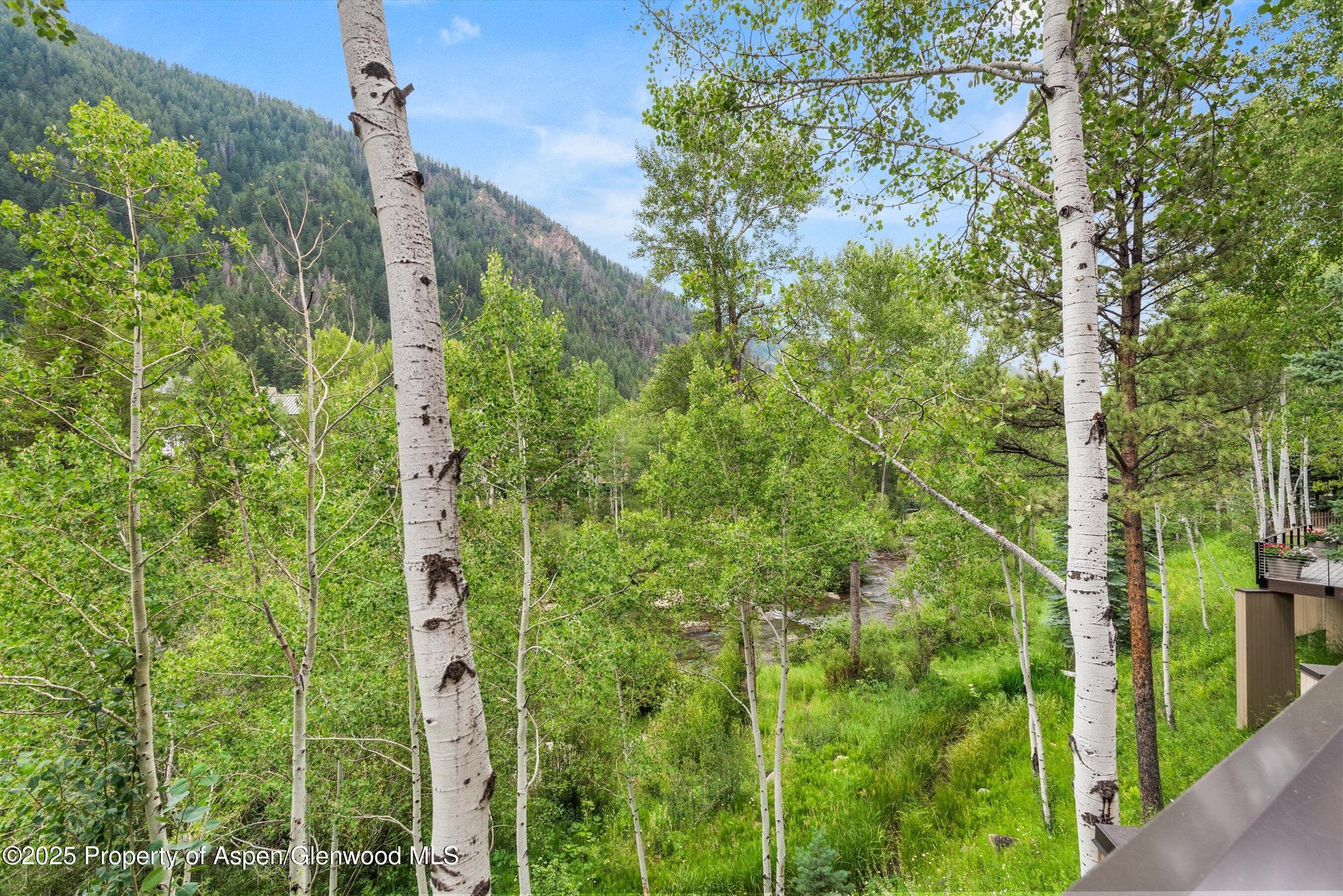 1429 Crystal Lake Road, Aspen, CO 81611 - Photo 25