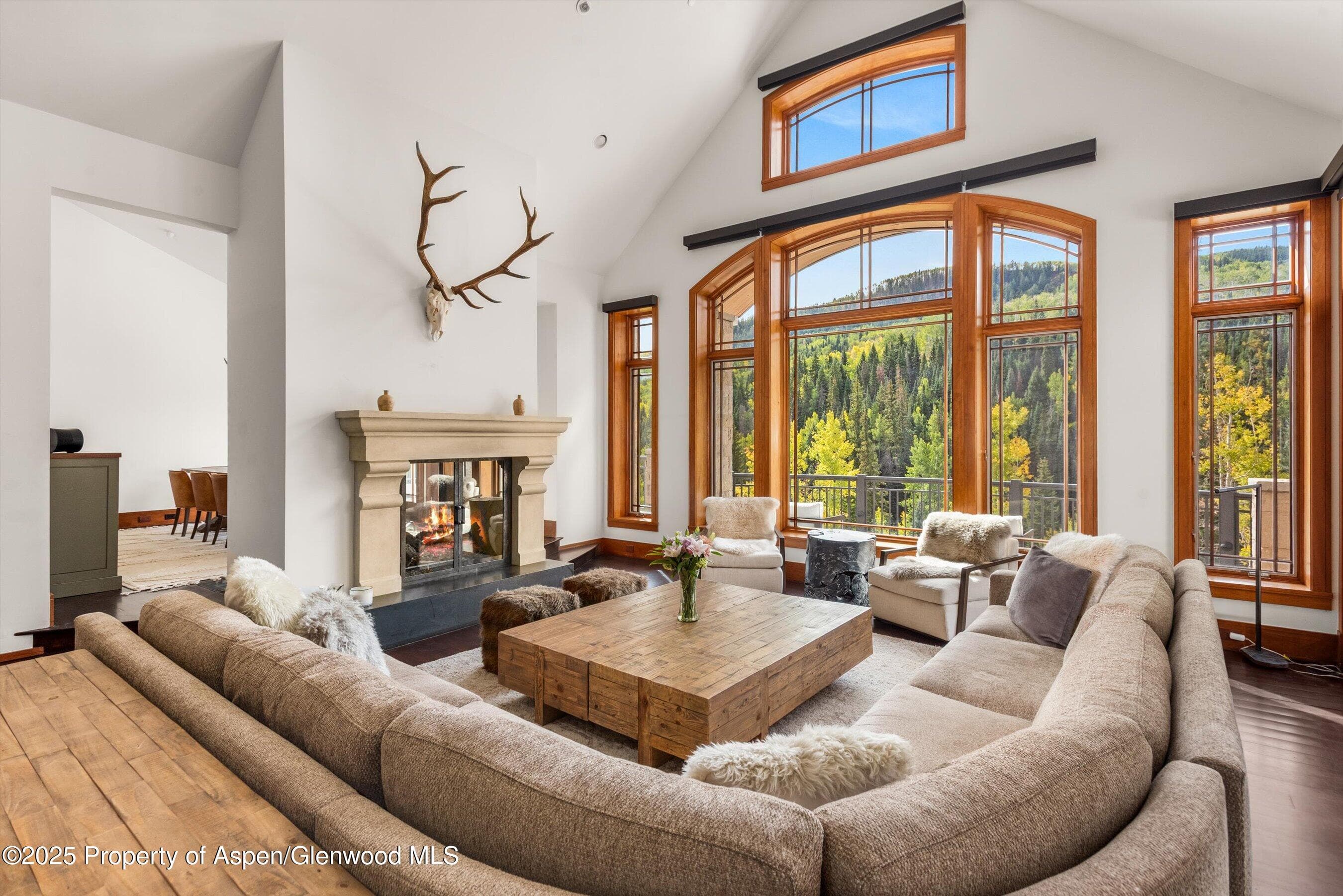 6889 Capitol Creek Road, Snowmass, CO 81654 - Photo 8