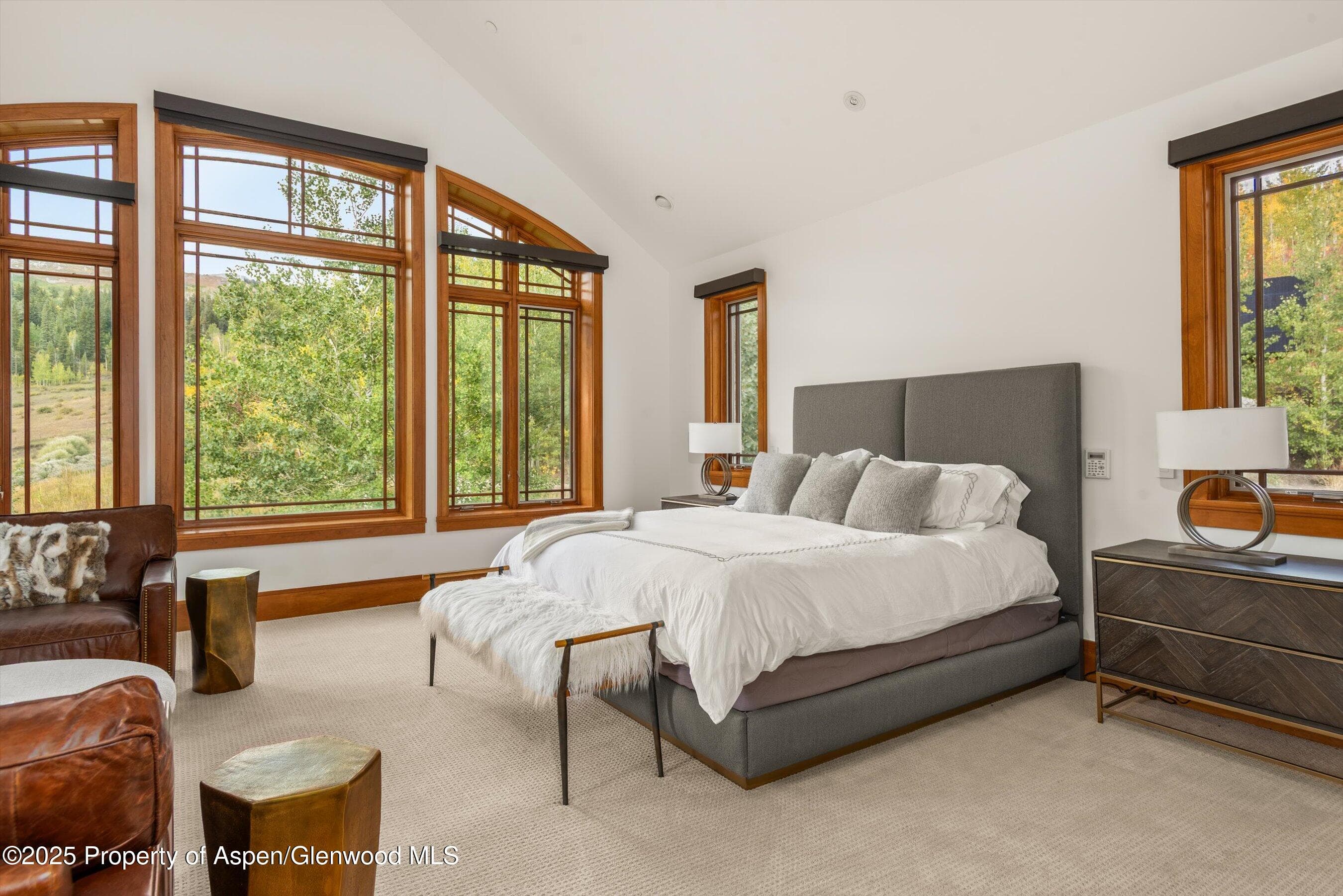 6889 Capitol Creek Road, Snowmass, CO 81654 - Photo 19