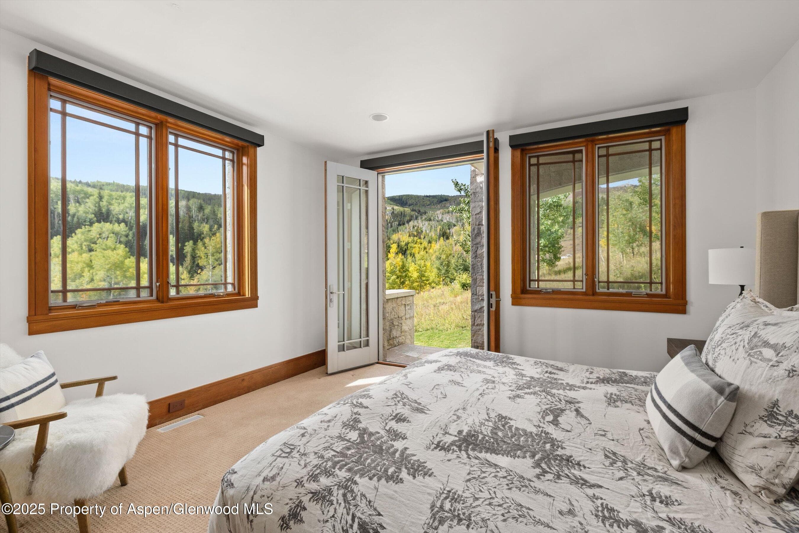 6889 Capitol Creek Road, Snowmass, CO 81654 - Photo 23