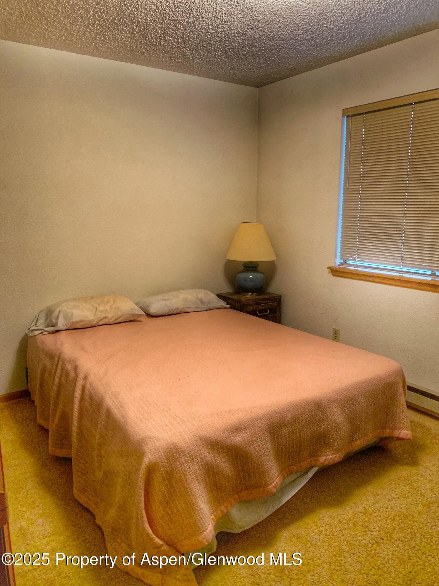 2659 Acacia Avenue, Rifle, CO 81650 - Photo 10