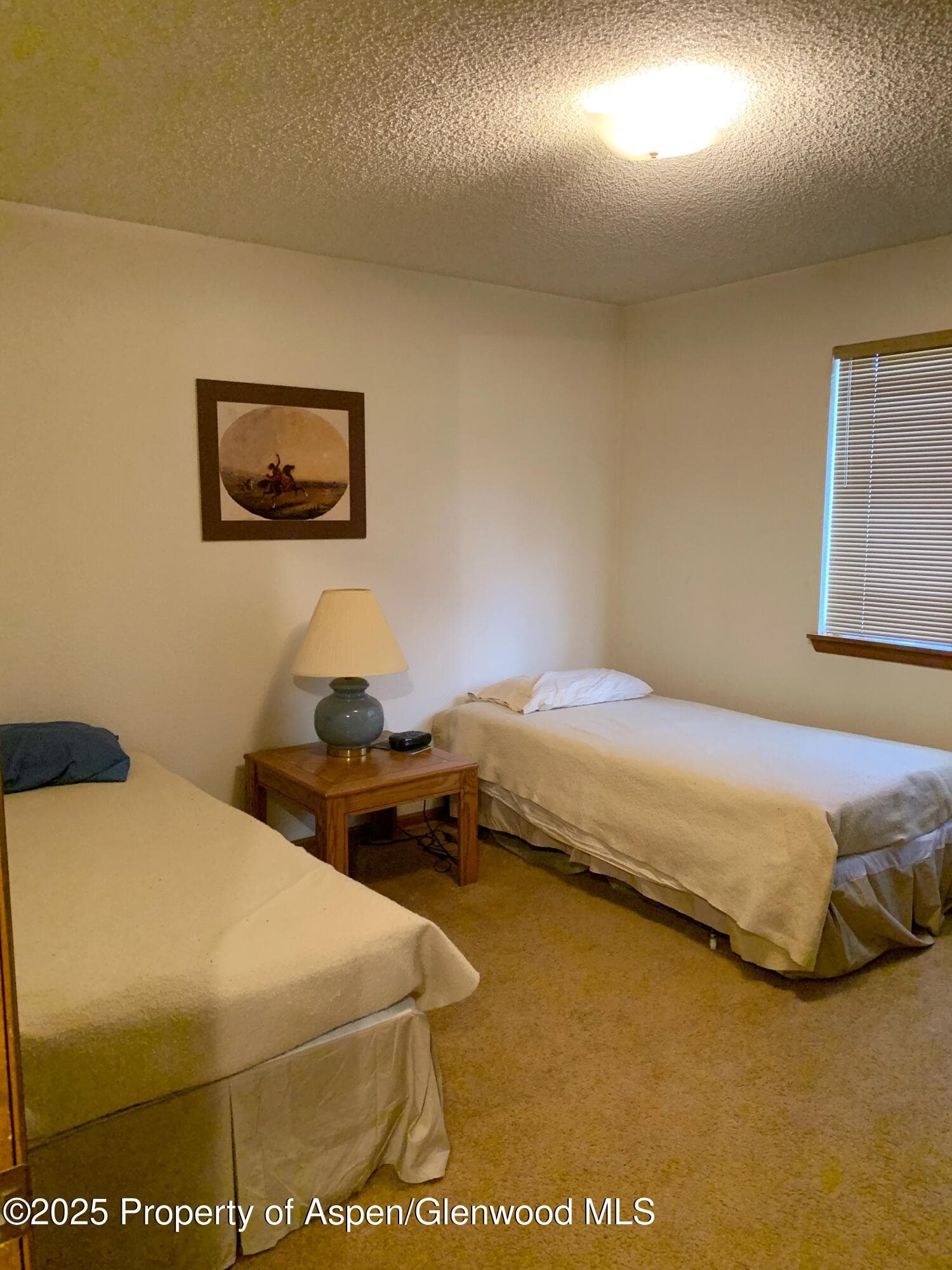 2659 Acacia Avenue, Rifle, CO 81650 - Photo 7