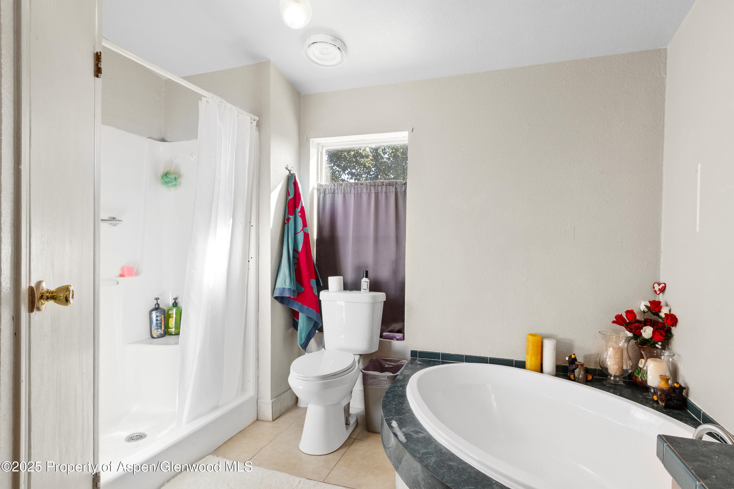 115 Silver Queen Circle, Battlement Mesa, CO 81635 - Photo 8