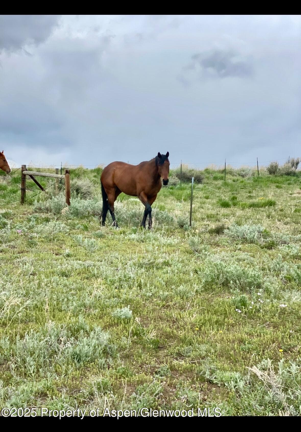 545 Knoll Avenue, Craig, CO 81625 - Photo 71