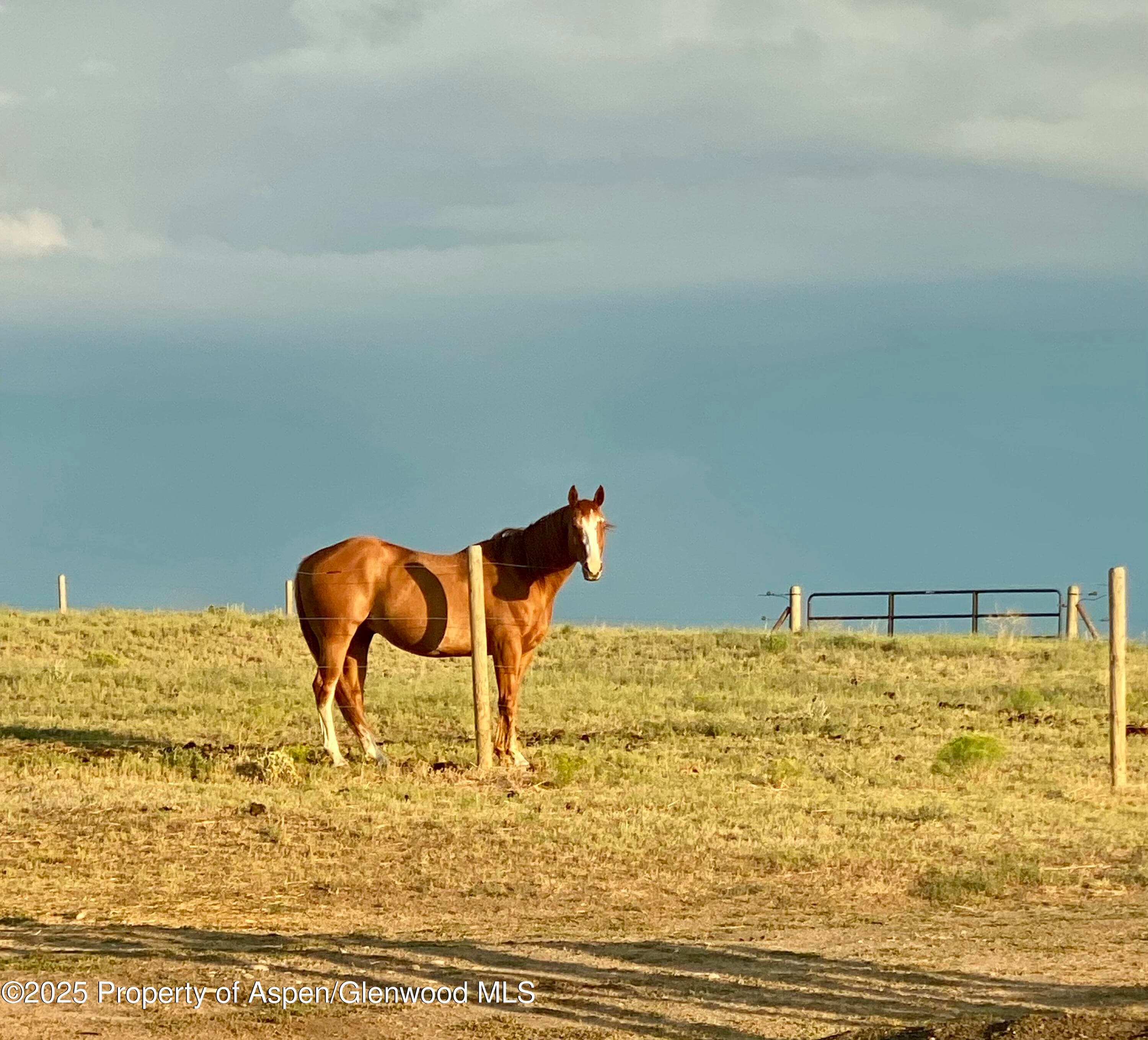 545 Knoll Avenue, Craig, CO 81625 - Photo 85