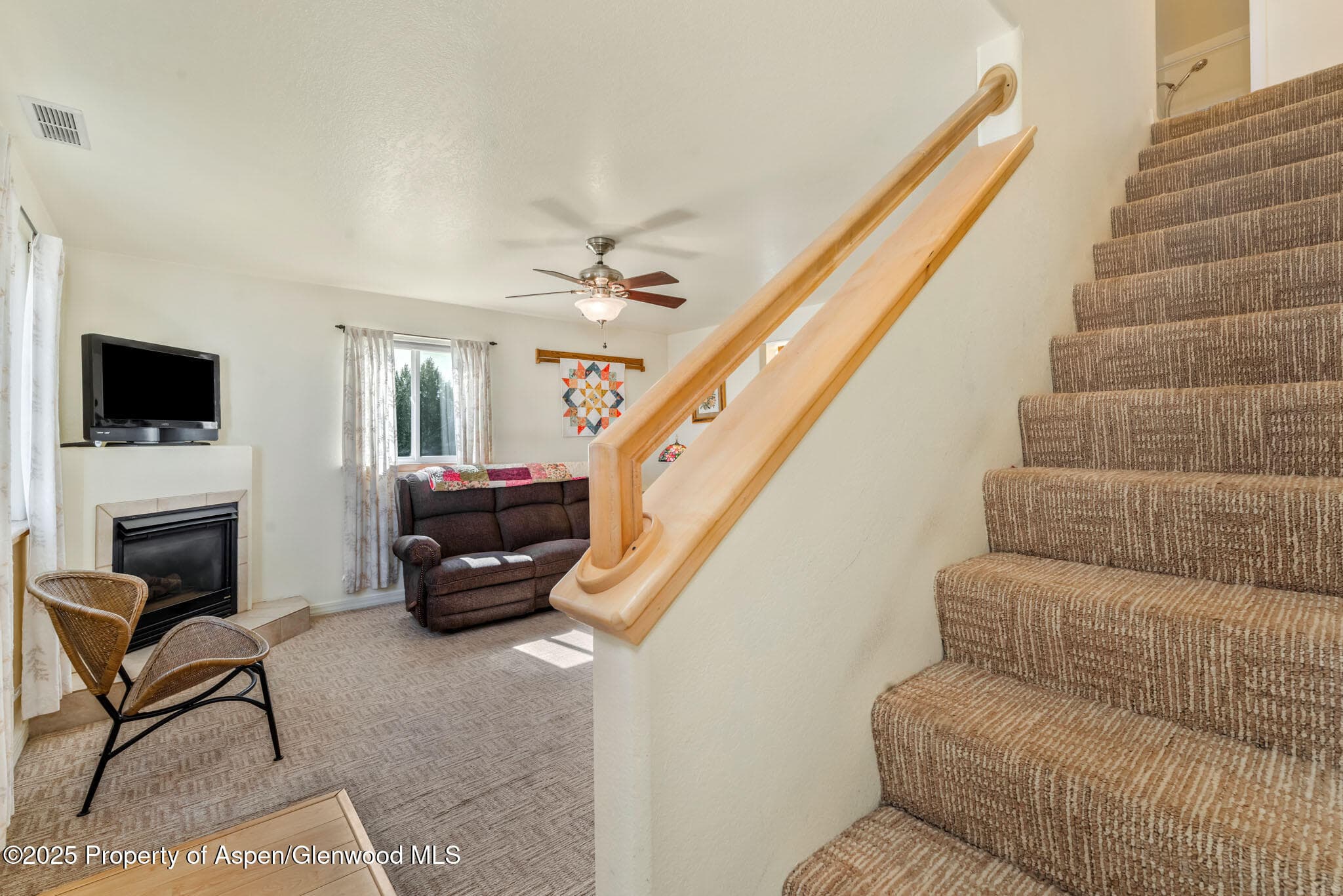 266 HARVEST Drive, Hayden, CO 81639 - Photo 11