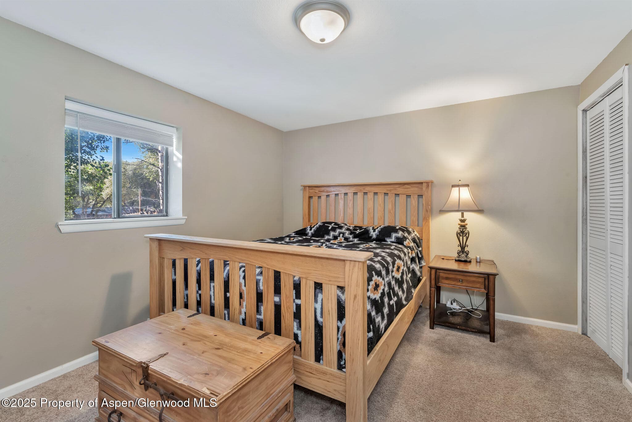 1070 LINCOLN Street, Craig, CO 81625 - Photo 27