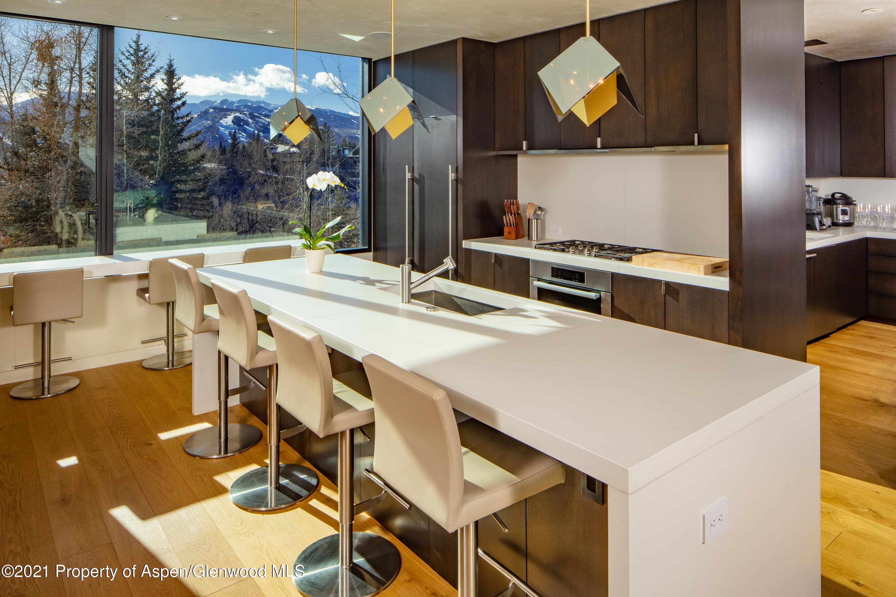 979 Red Mountain Road, Aspen, CO 81611 - Photo 3