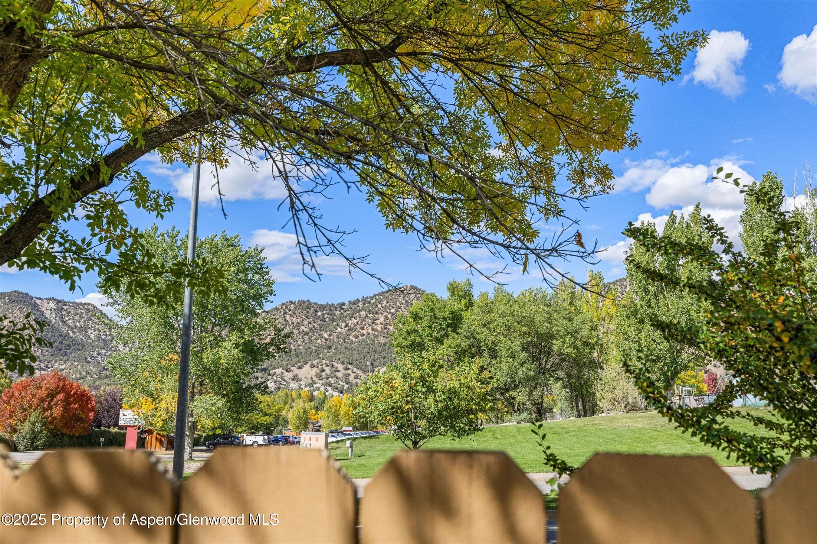308 Pennyroyal Court, New Castle, CO 81647 - Photo 25