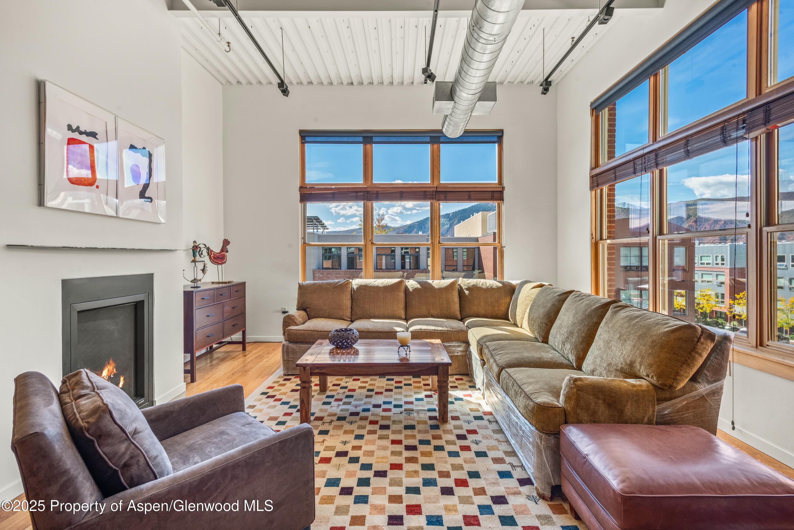231 Robinson Street #R-340, Basalt, CO 81621 - Photo 2