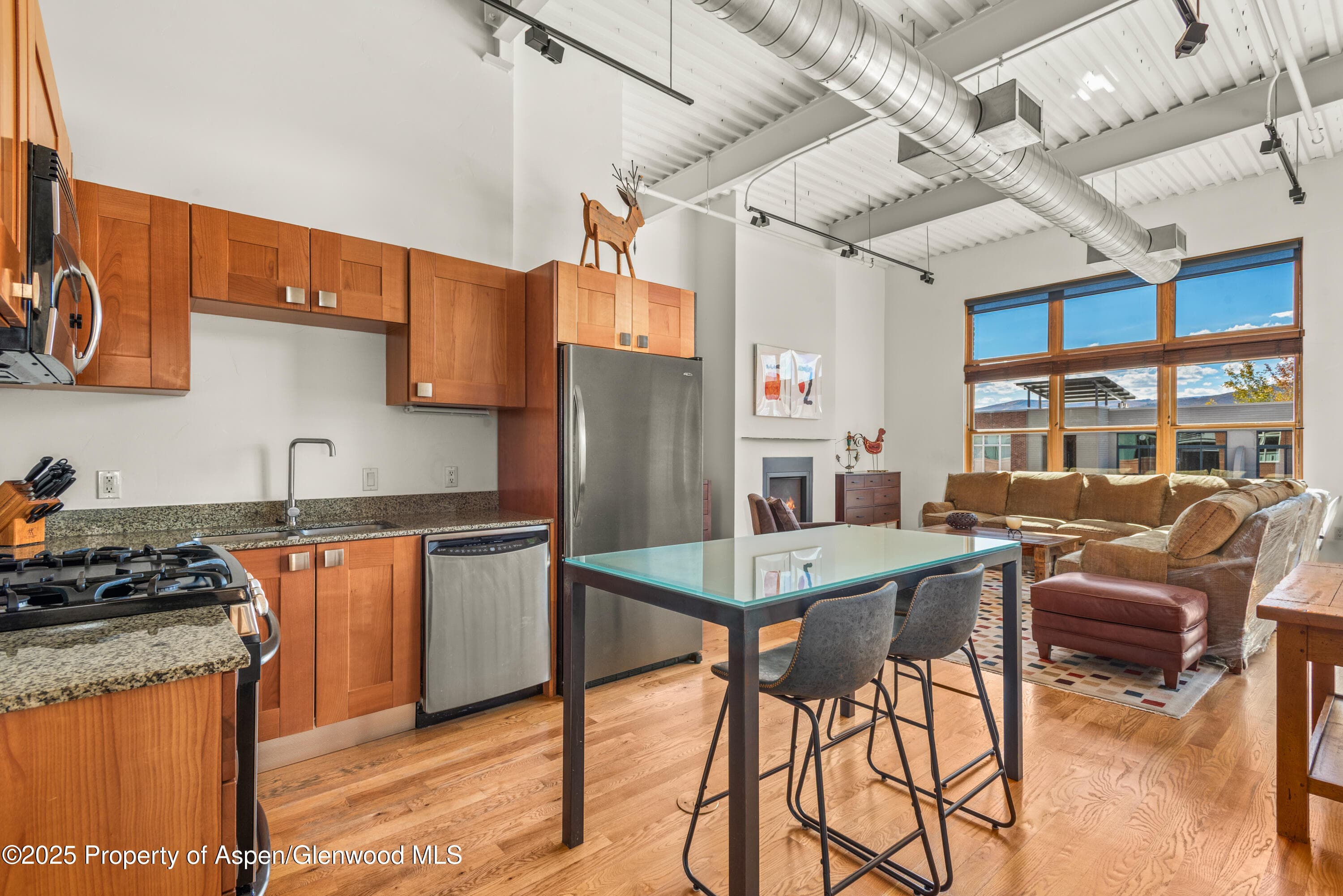 231 Robinson Street #R-340, Basalt, CO 81621 - Photo 6
