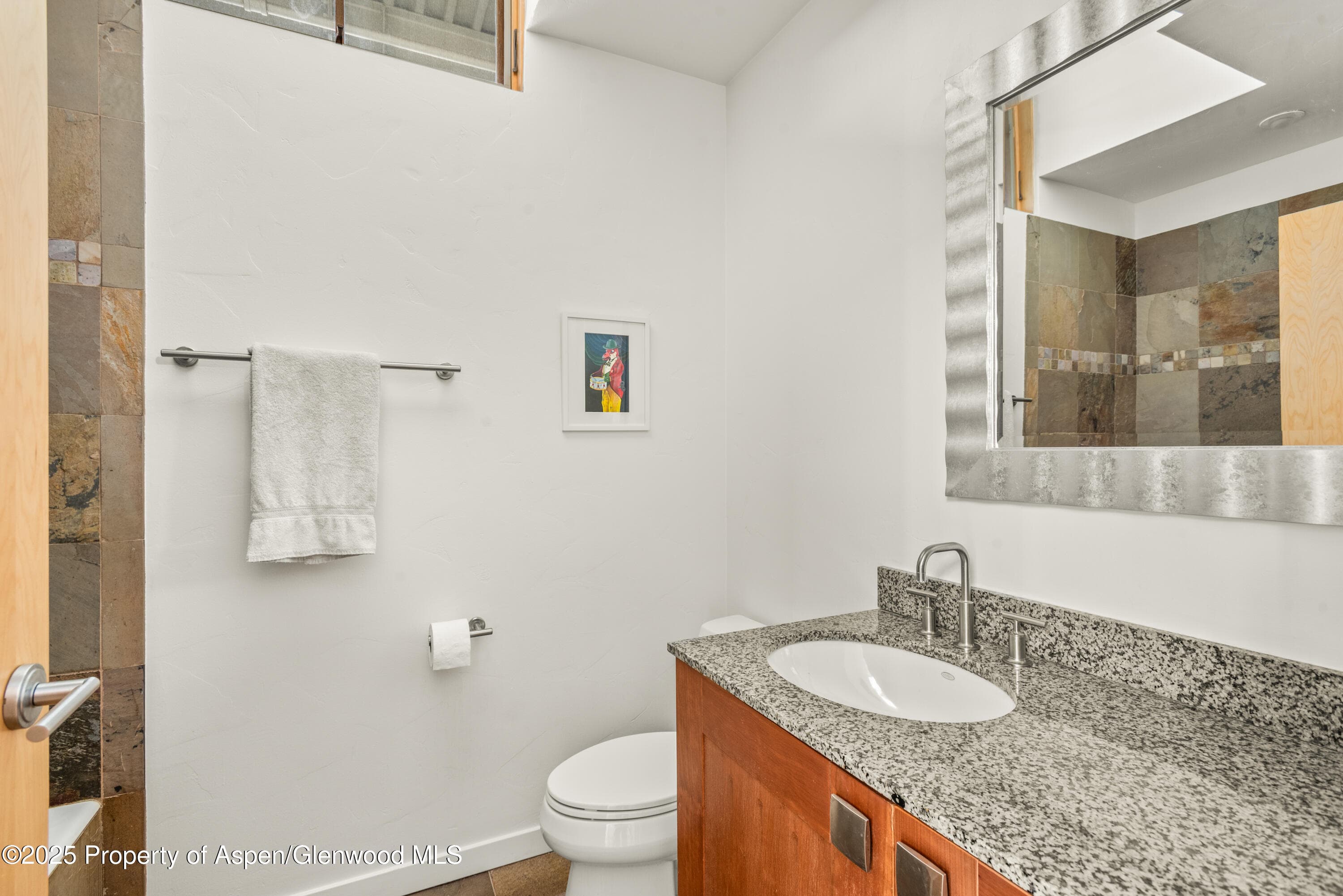 231 Robinson Street #R-340, Basalt, CO 81621 - Photo 9