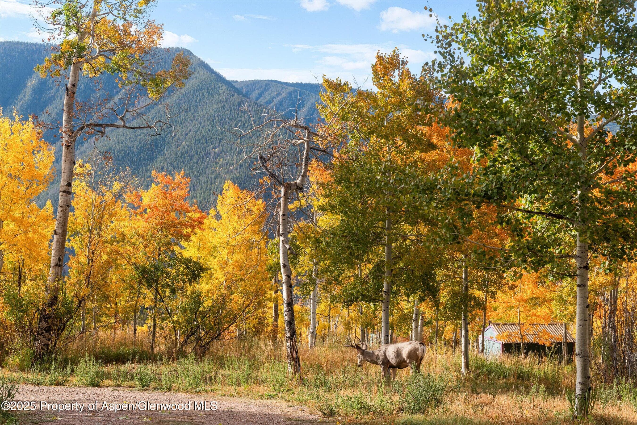 TBD Spinnaker Lane, Basalt, CO 81621 - Photo 7