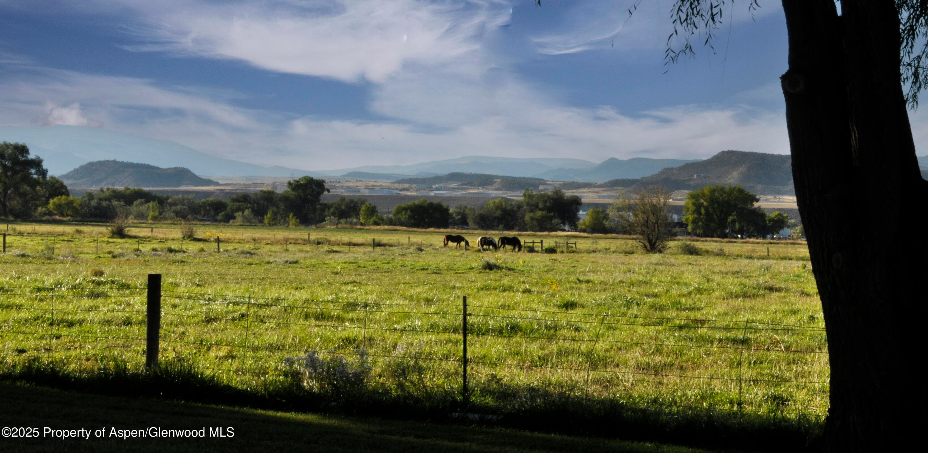 1840 County Road 210, Rifle, CO 81650 - Photo 37