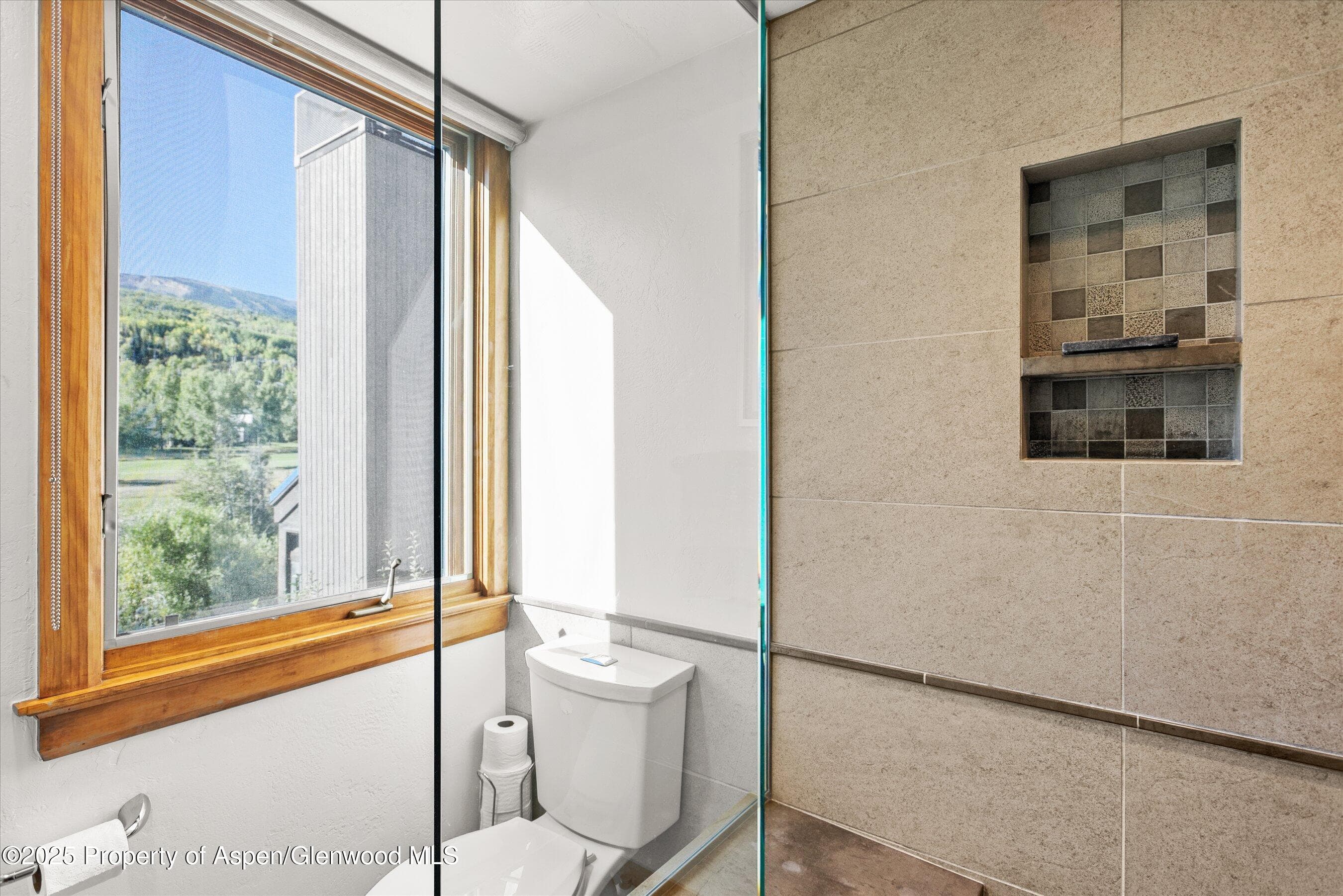 4000 Brush Creek Road 10, Snowmass Village, CO 81615 - Photo 11