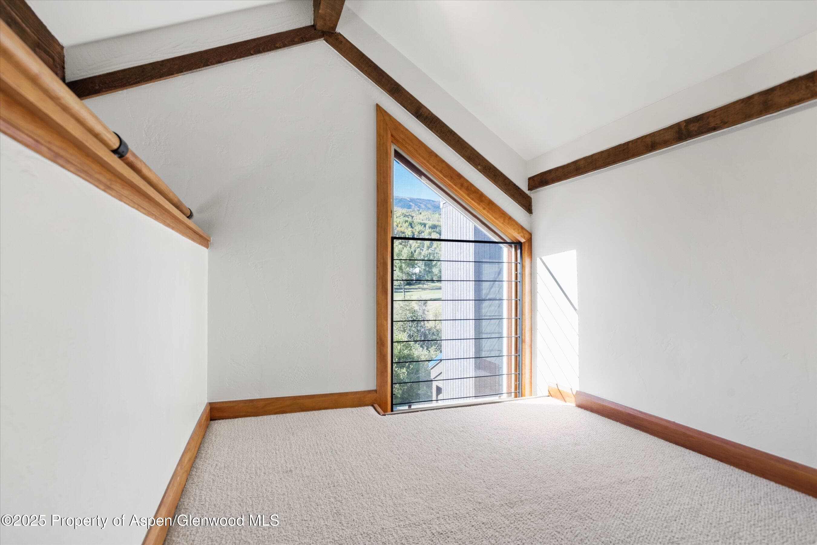4000 Brush Creek Road 10, Snowmass Village, CO 81615 - Photo 16