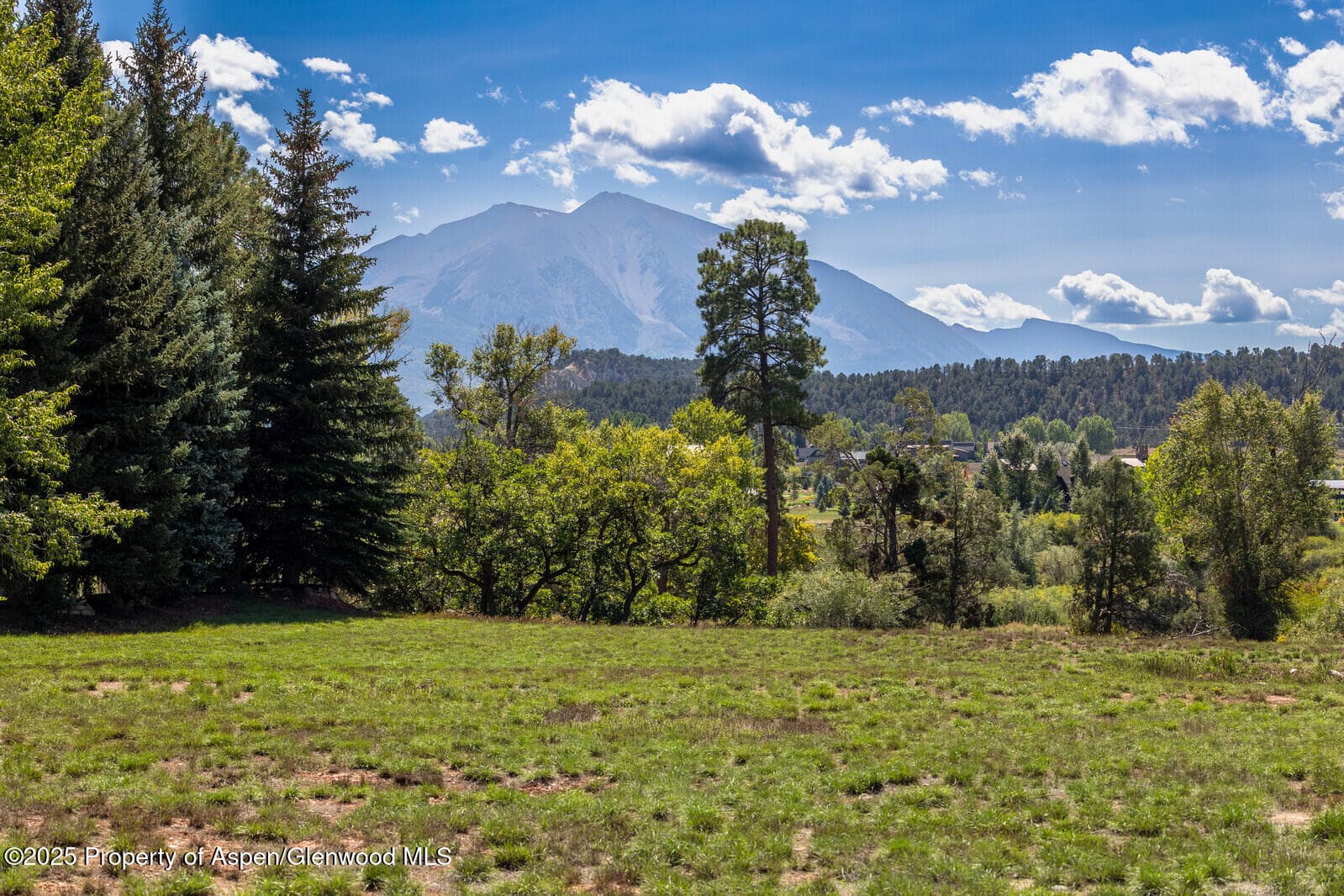 36 Alpen Glo Lane, Carbondale, CO 81623 - Photo 2