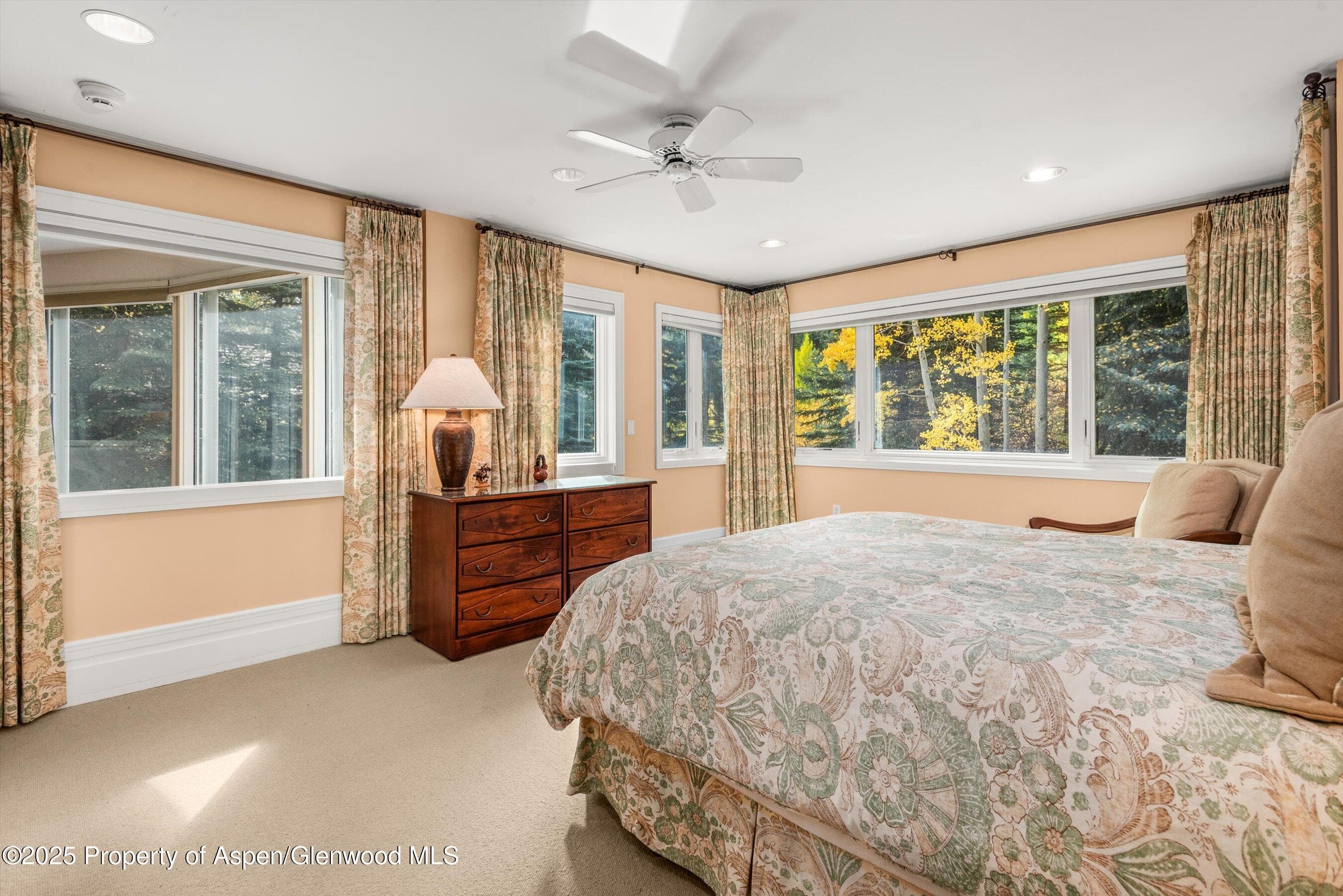 431 W Hopkins Avenue, Aspen, CO 81611 - Photo 30