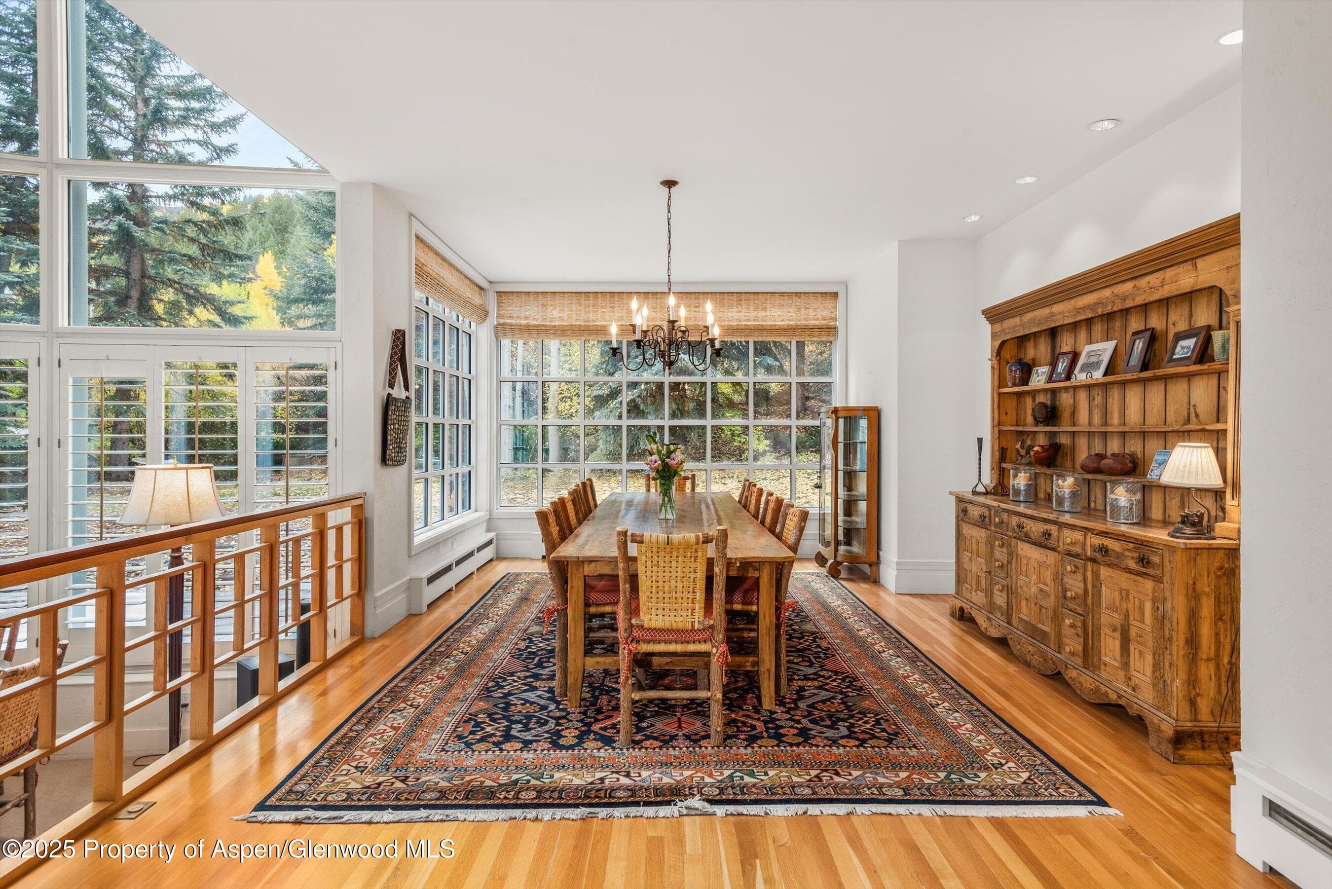 431 W Hopkins Avenue, Aspen, CO 81611 - Photo 17