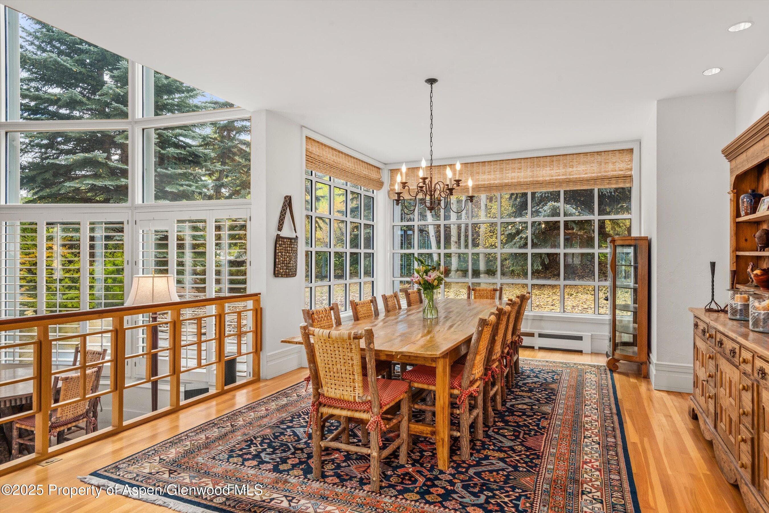 431 W Hopkins Avenue, Aspen, CO 81611 - Photo 18