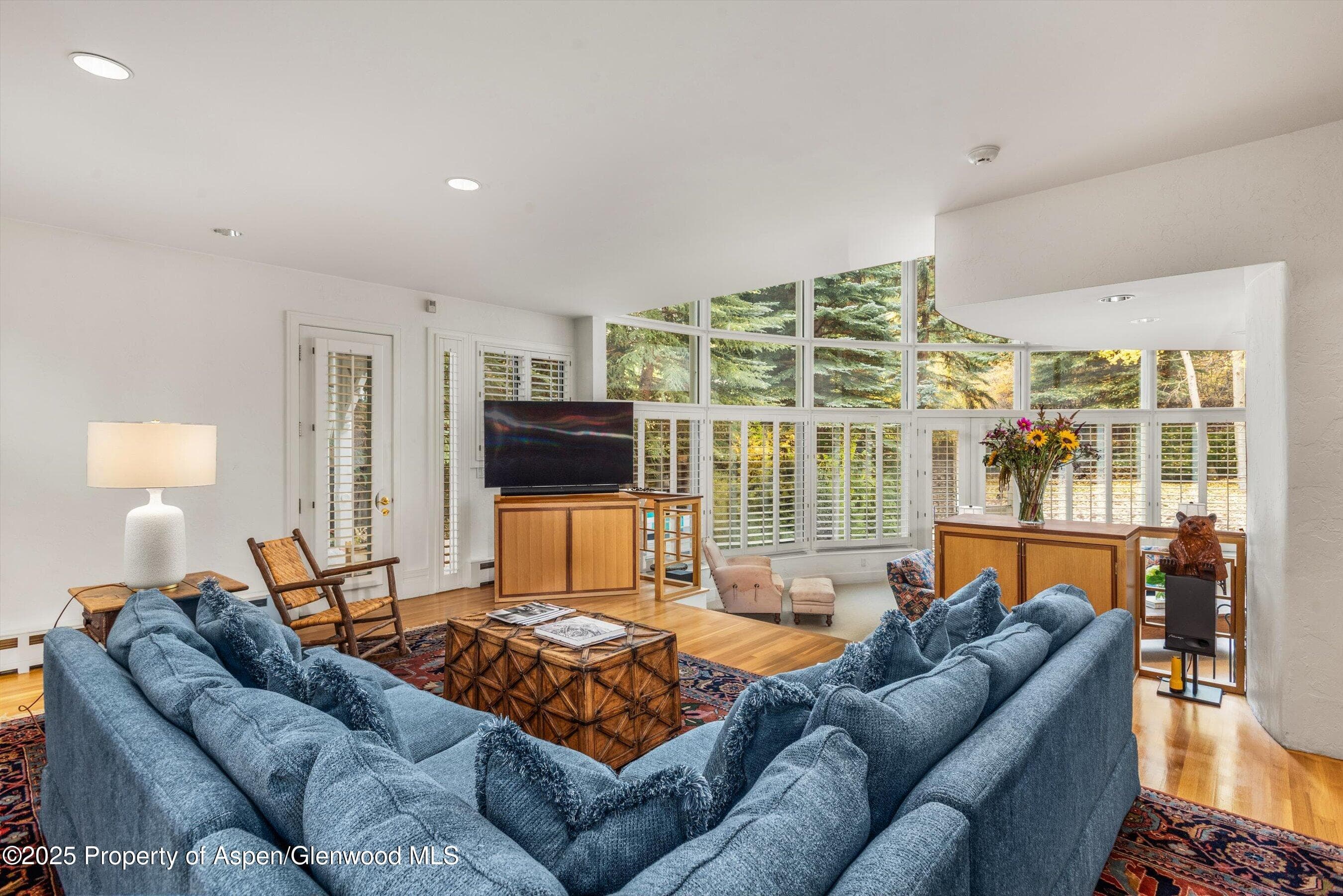 431 W Hopkins Avenue, Aspen, CO 81611 - Photo 9
