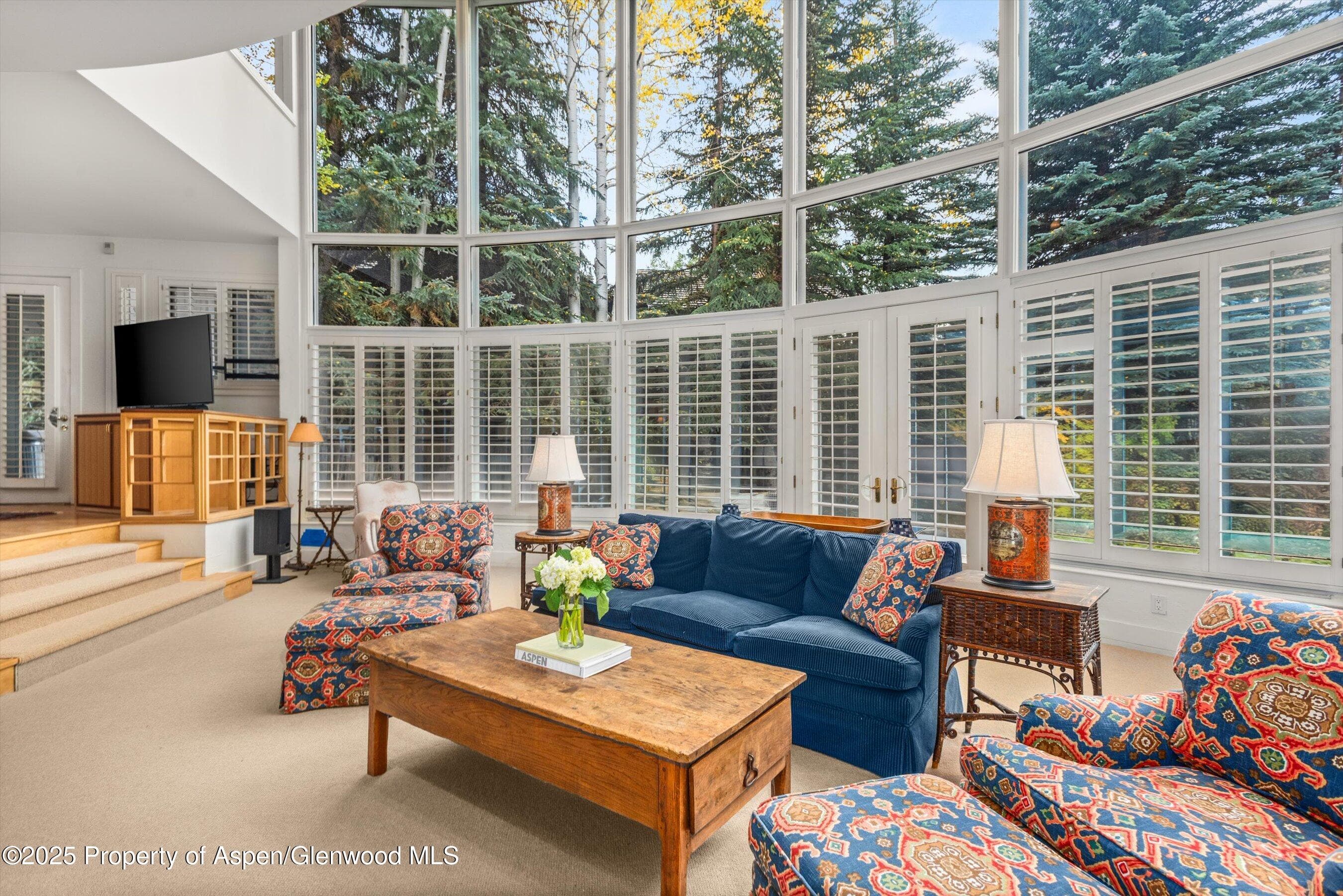 431 W Hopkins Avenue, Aspen, CO 81611 - Photo 13