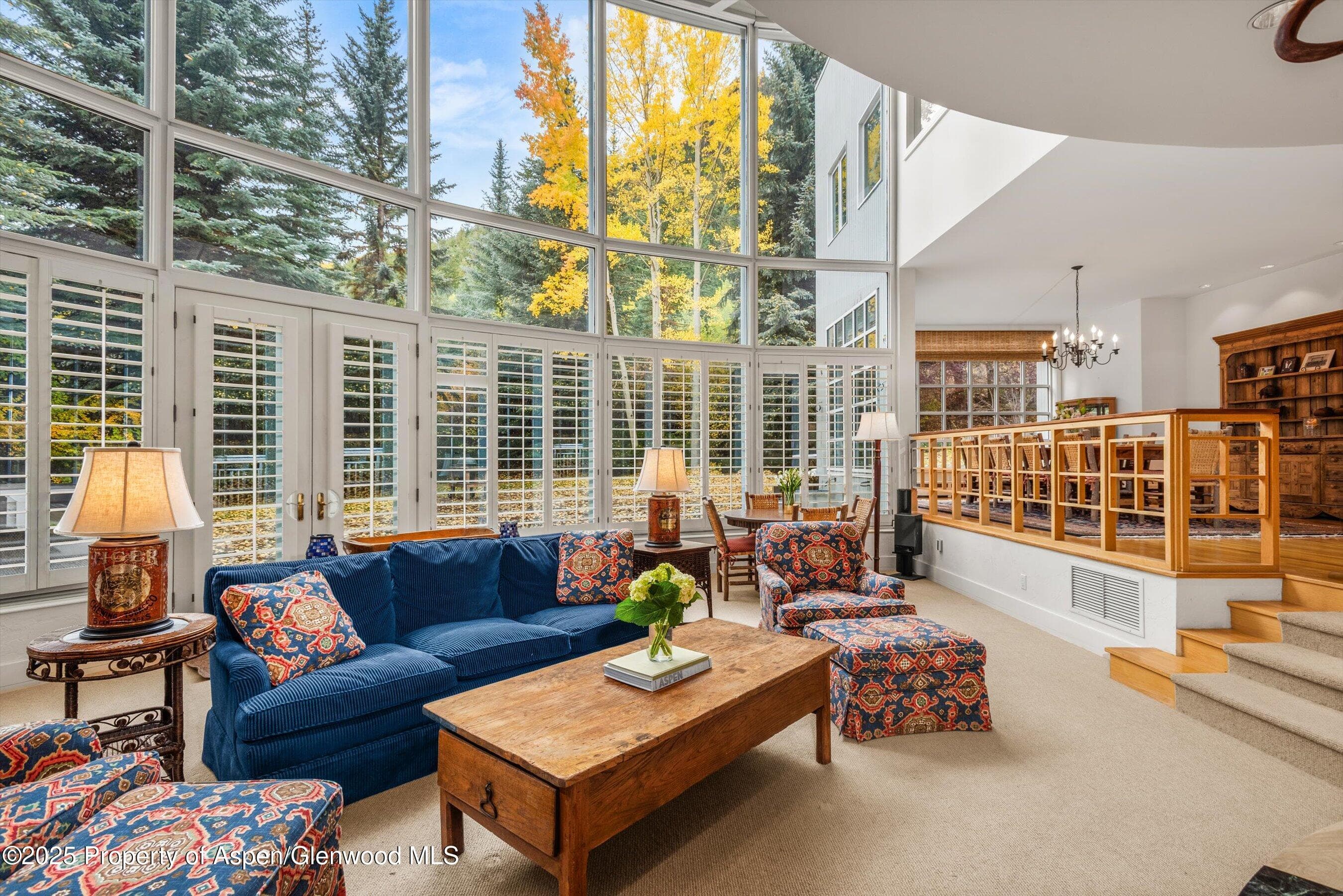 431 W Hopkins Avenue, Aspen, CO 81611 - Photo 14