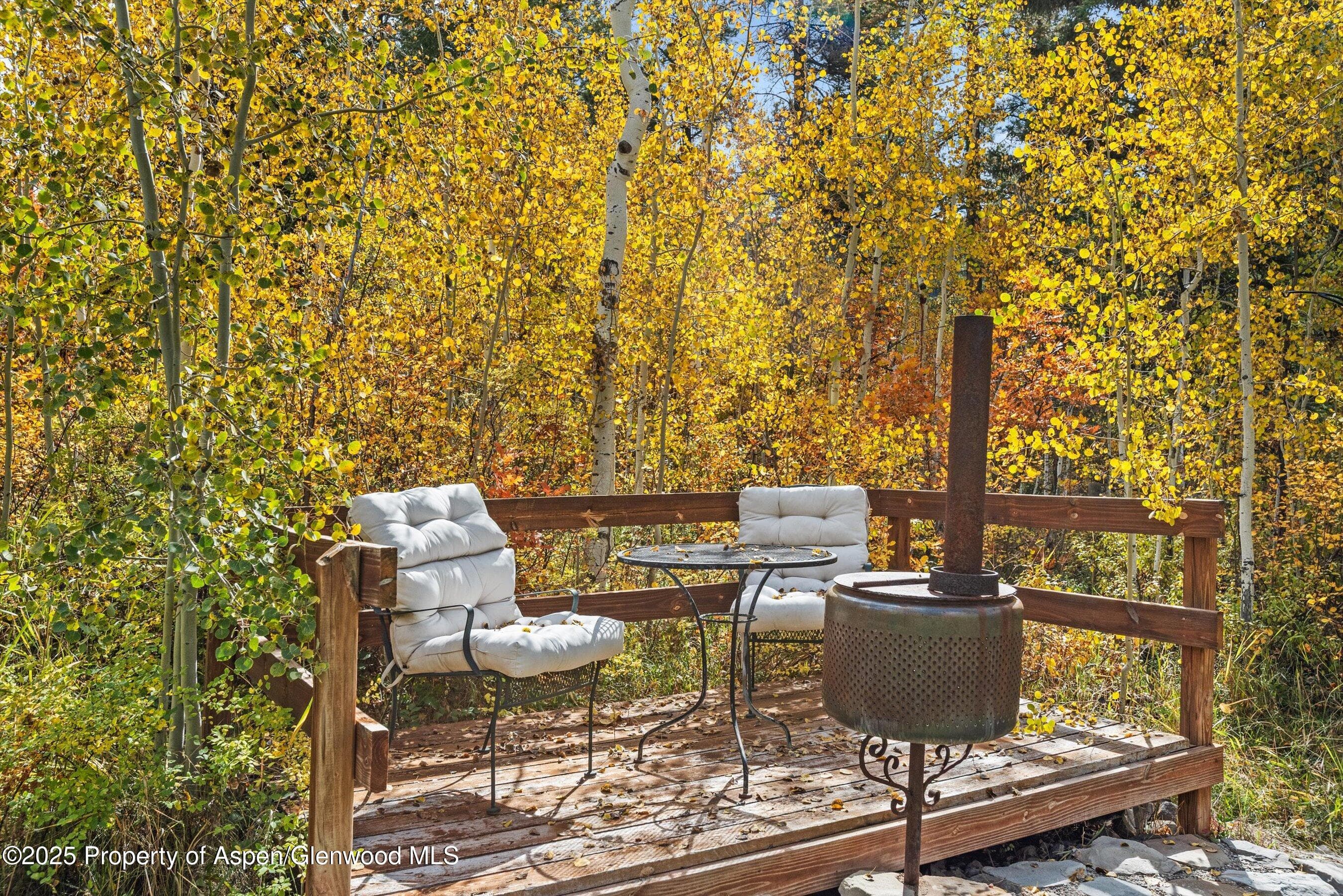 235 Gallo Hill Drive, Marble, CO 81623 - Photo 8