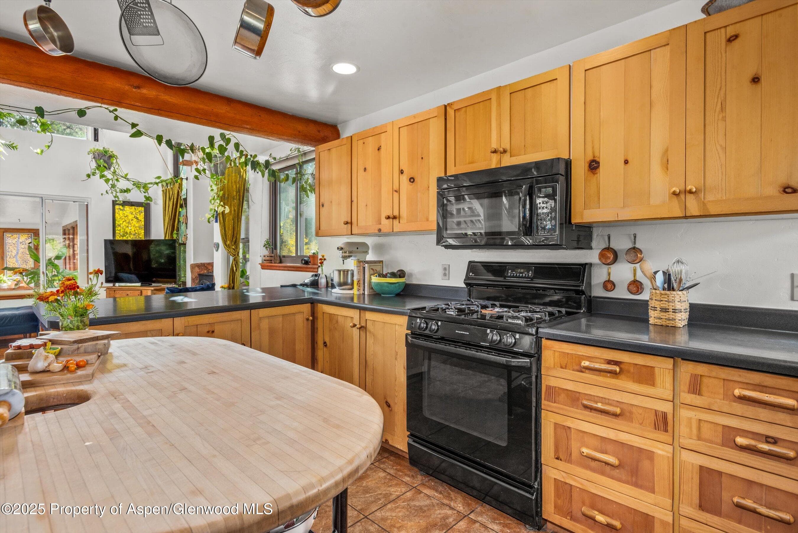 235 Gallo Hill Drive, Marble, CO 81623 - Photo 28
