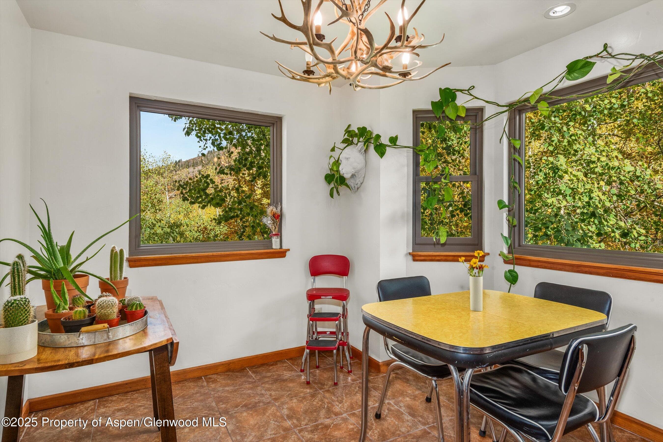 235 Gallo Hill Drive, Marble, CO 81623 - Photo 31
