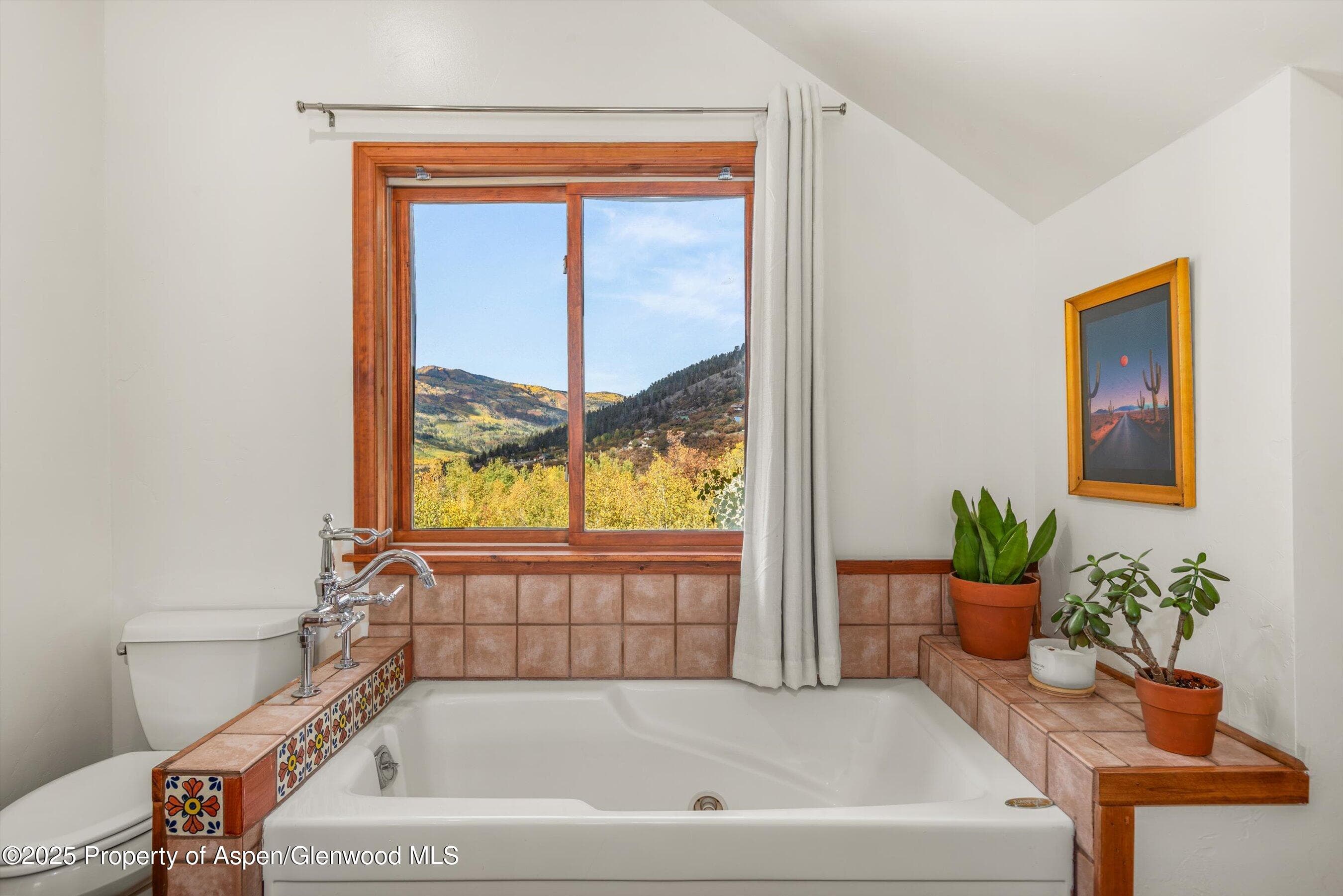 235 Gallo Hill Drive, Marble, CO 81623 - Photo 41