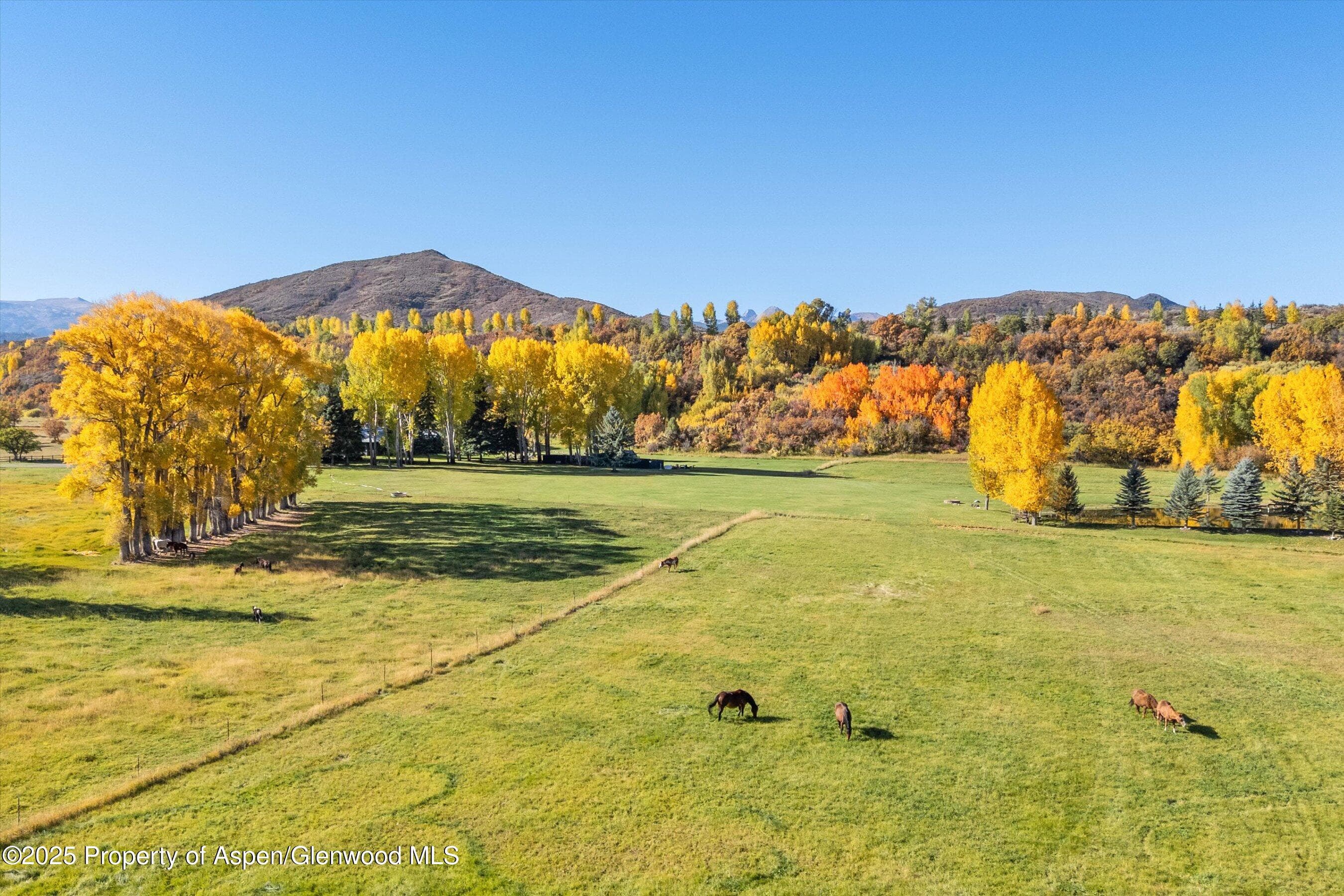 3333 Snowmass Creek Road, Snowmass, CO 81654 - Photo 40