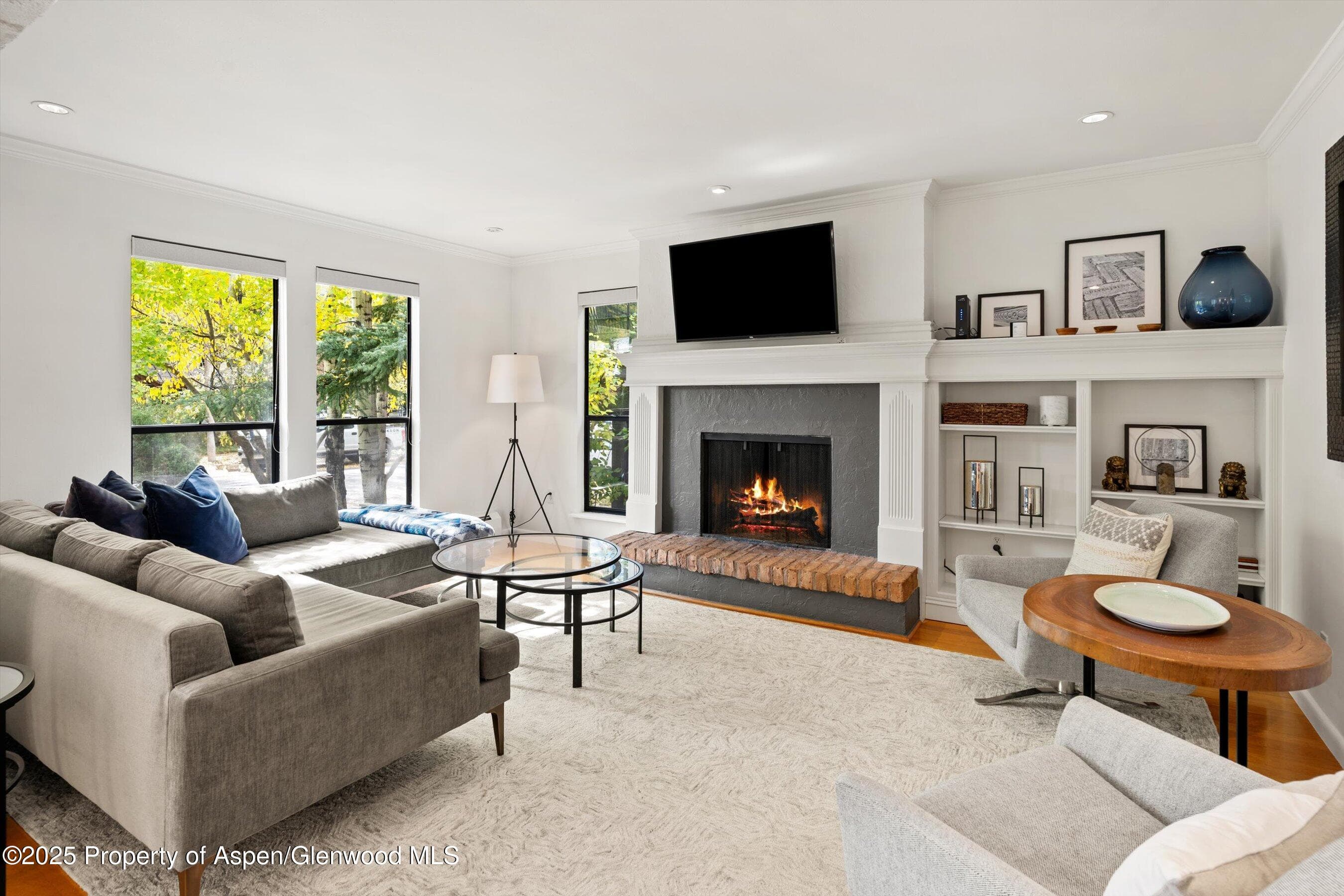 980 E Hyman Avenue 3, Aspen, CO 81611