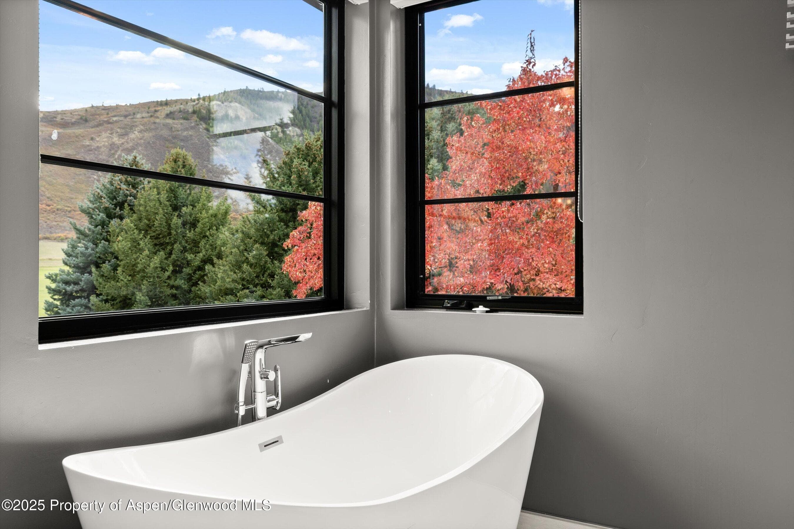 373 & 375 Apple Drive, Basalt, CO 81621 - Photo 16