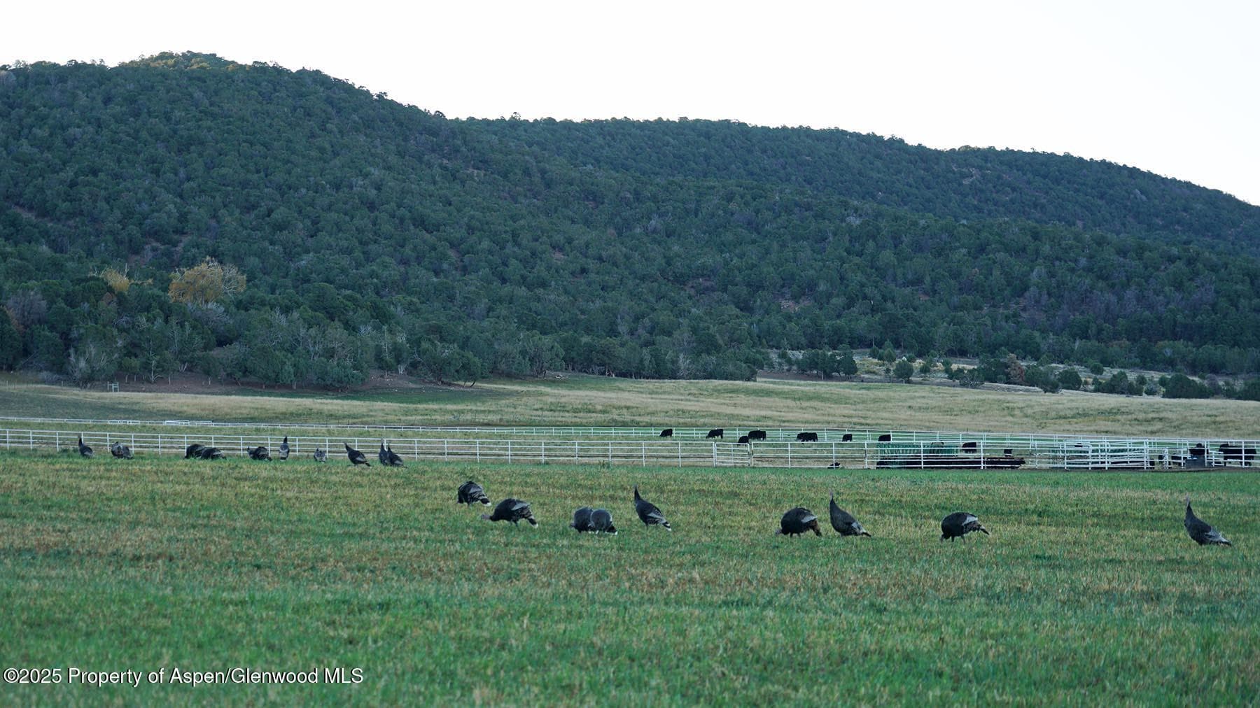 10676 Bostwick Road, Montrose, CO 81401 - Photo 32