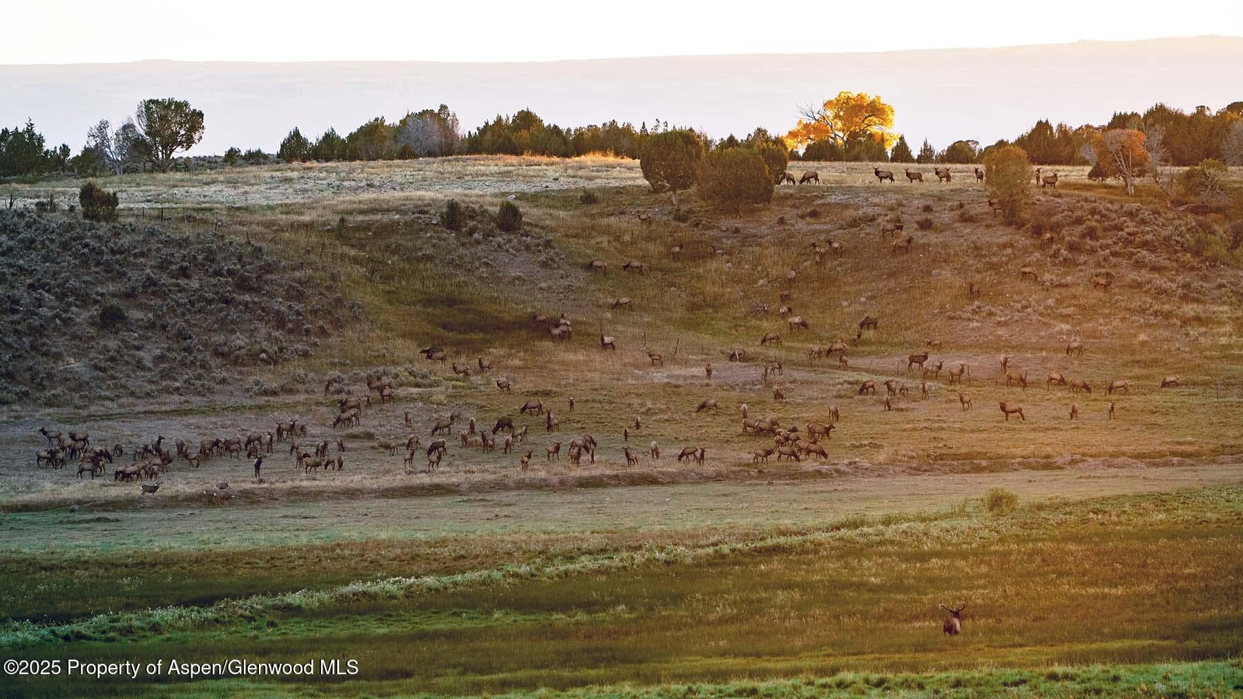 10676 Bostwick Road, Montrose, CO 81401 - Photo 37