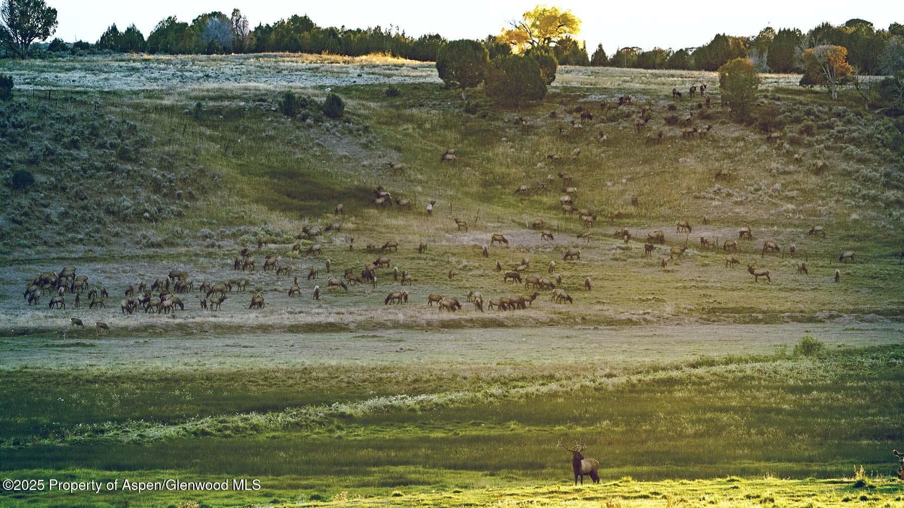 10676 Bostwick Road, Montrose, CO 81401 - Photo 38