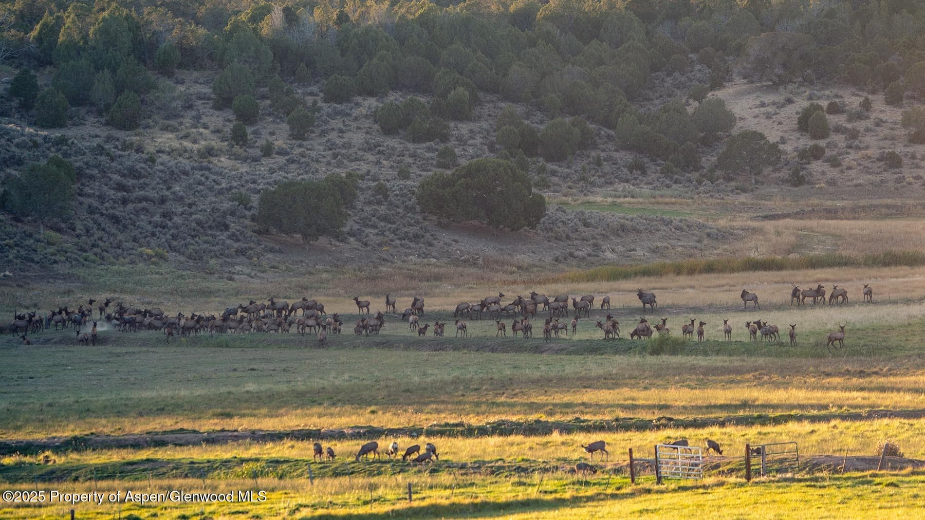 10676 Bostwick Road, Montrose, CO 81401 - Photo 40