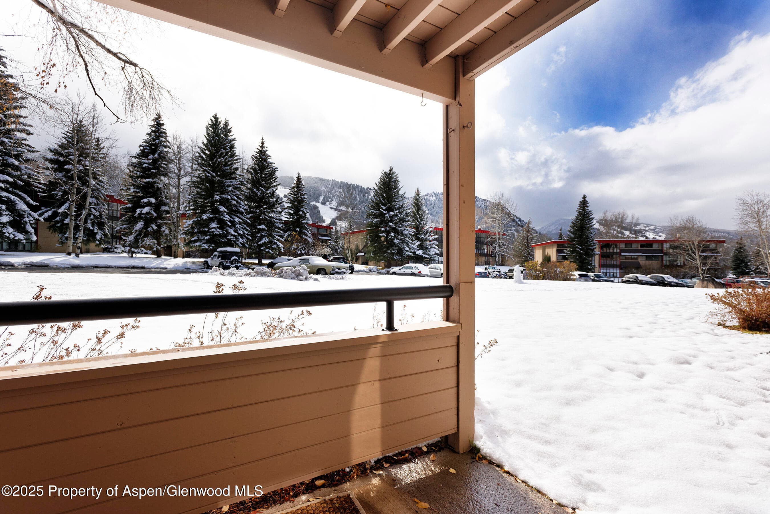 415 Vine Street 415, Aspen, CO 81611 - Photo 17