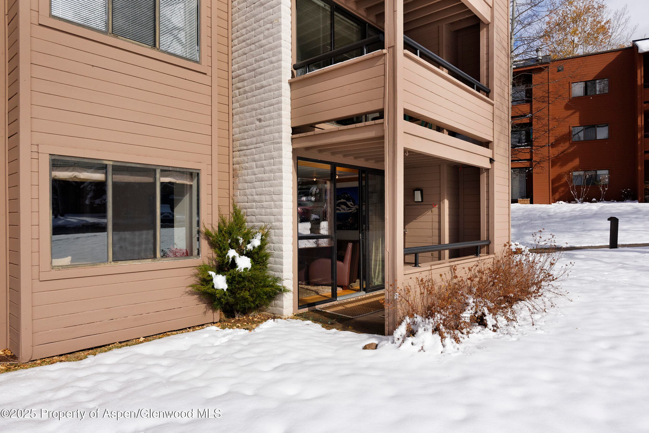 415 Vine Street 415, Aspen, CO 81611 - Photo 16