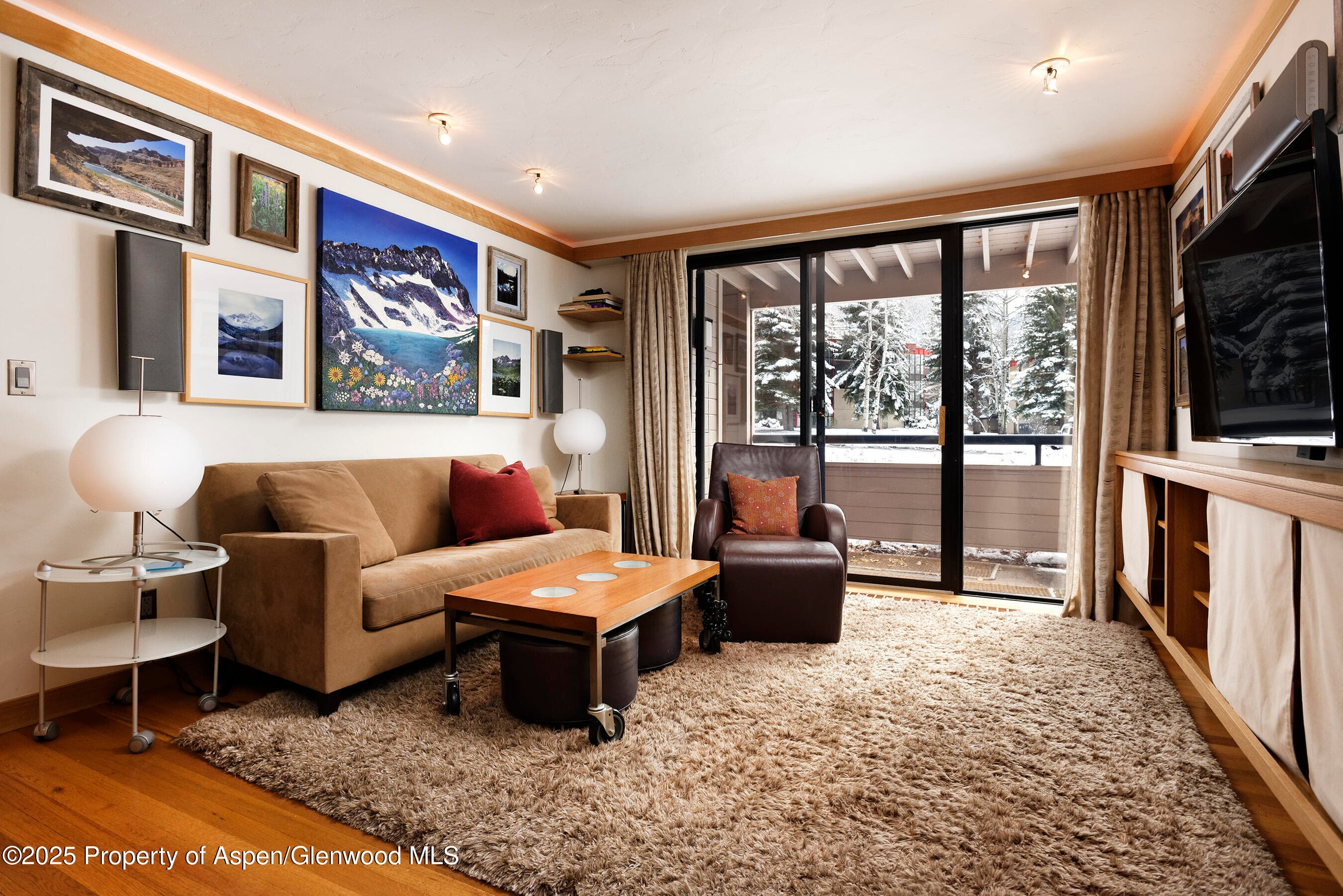 415 Vine Street 415, Aspen, CO 81611 - Photo 5