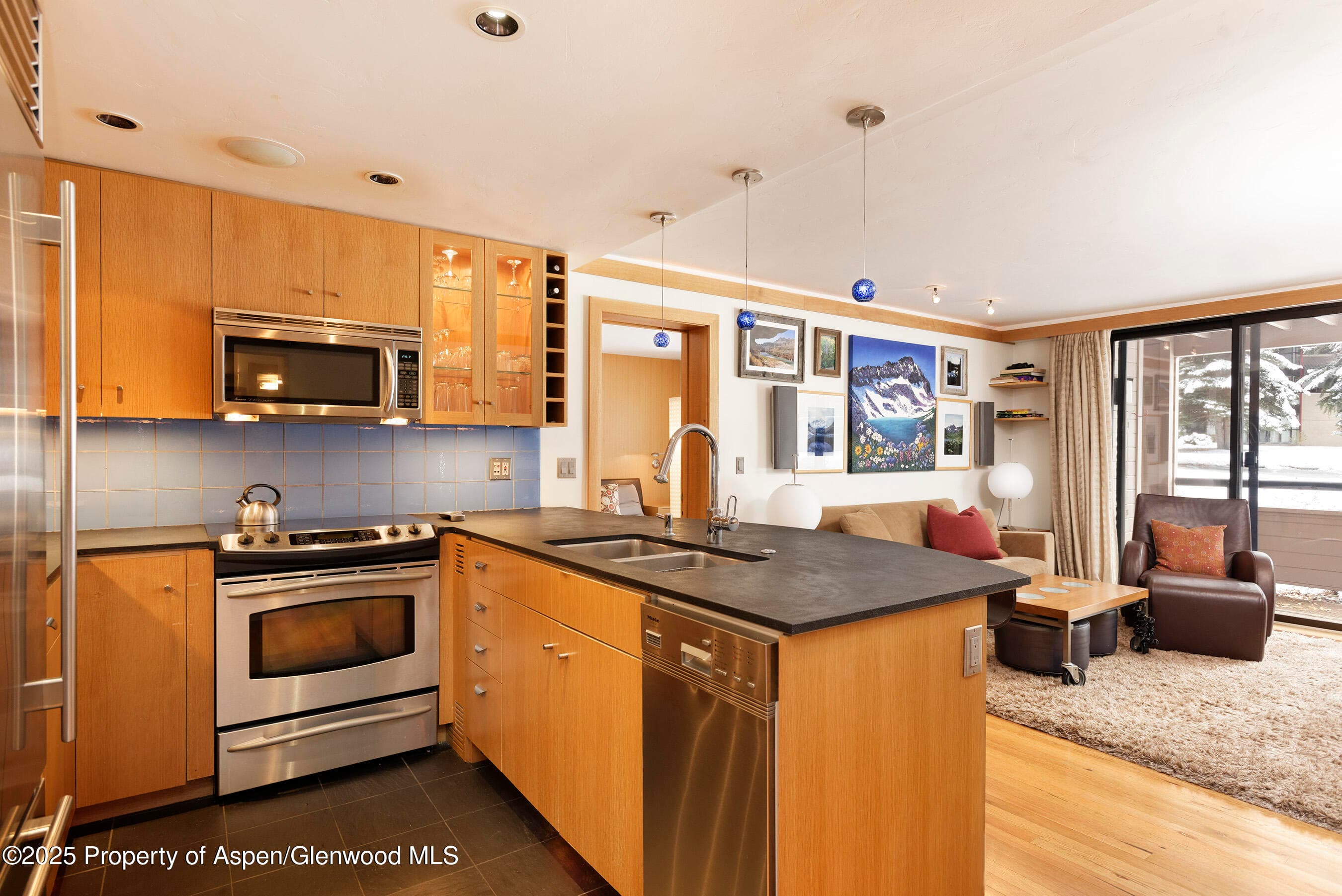 415 Vine Street 415, Aspen, CO 81611 - Photo 7