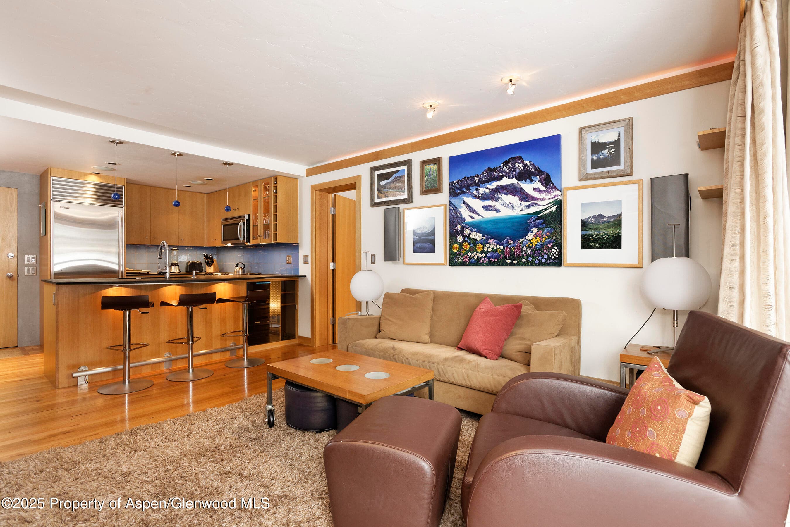 415 Vine Street 415, Aspen, CO 81611 - Photo 8