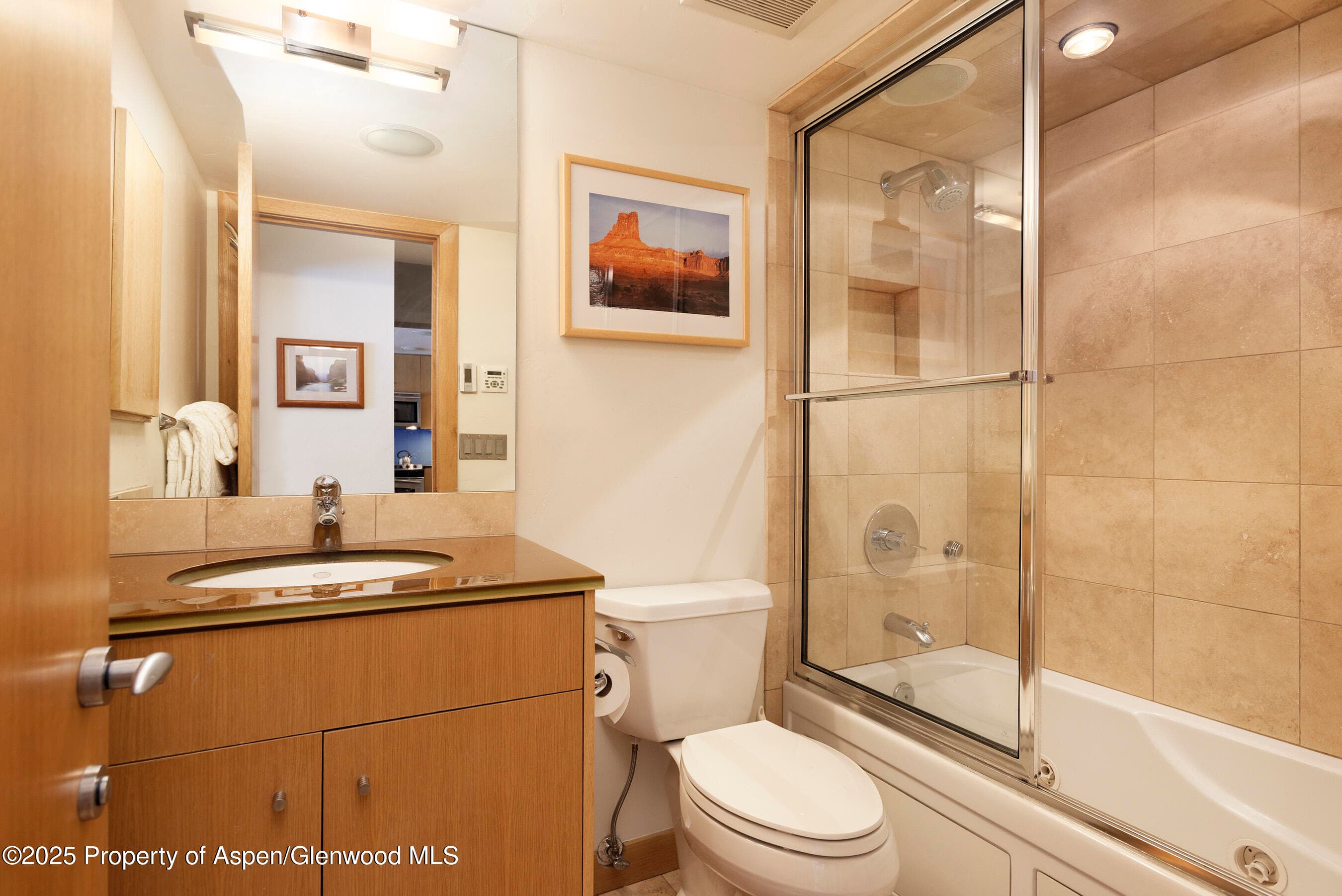 415 Vine Street 415, Aspen, CO 81611 - Photo 15