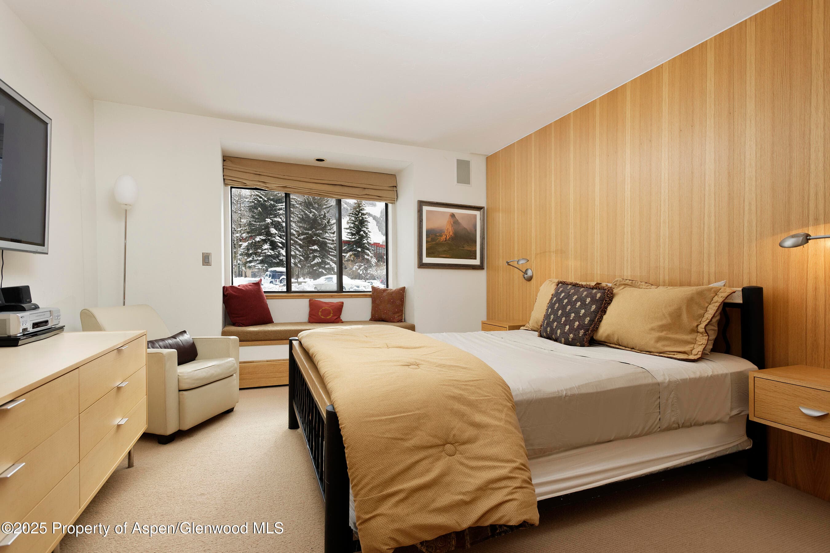 415 Vine Street 415, Aspen, CO 81611 - Photo 14