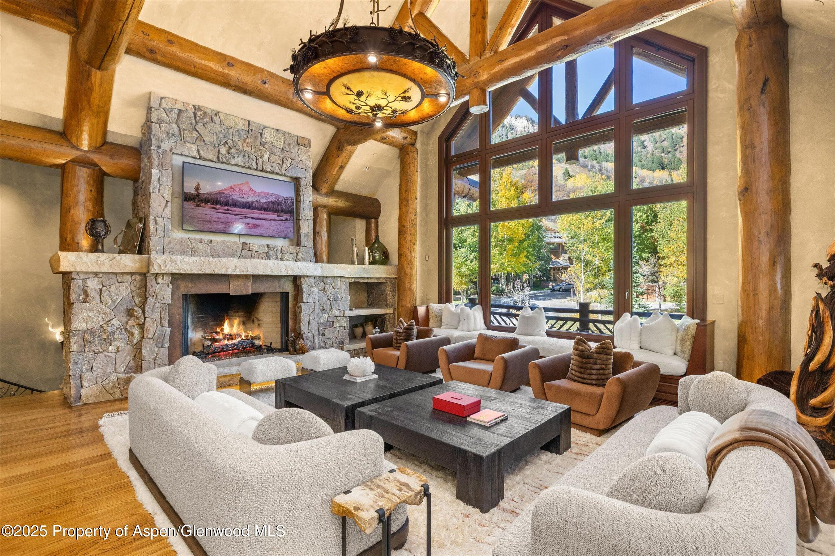 928 S Mill Street, Aspen, CO 81611 - Photo 4